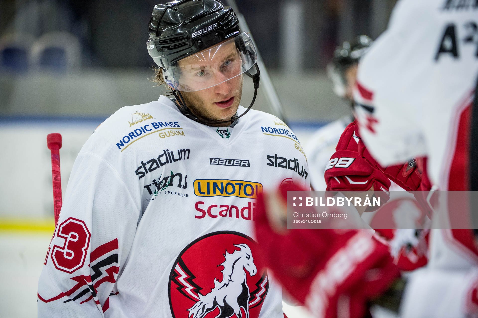 Vita Hästens Alexander Younan