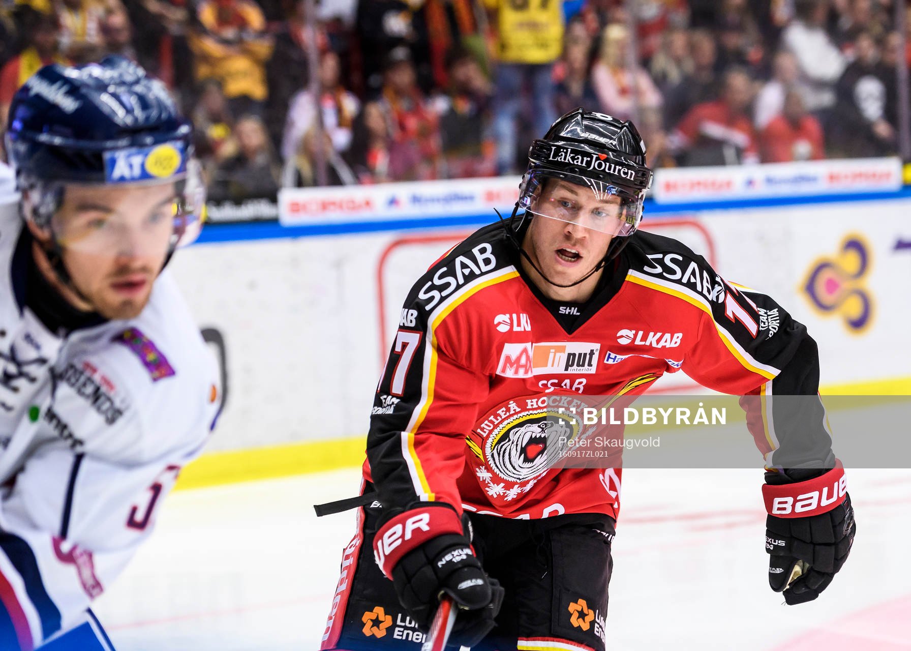 Luleås Andreas Falk