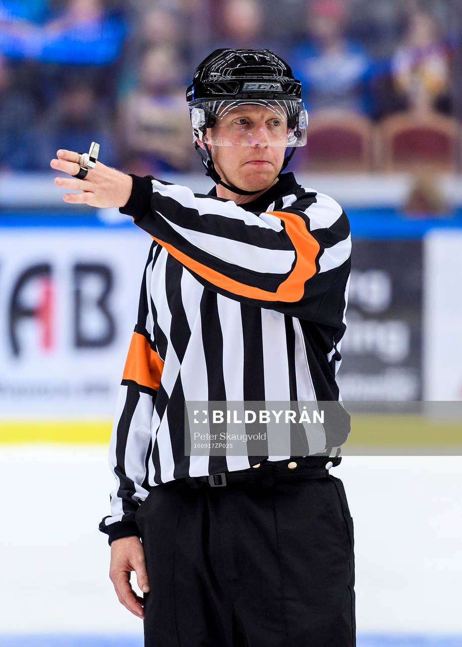 Domare Mikael Holm