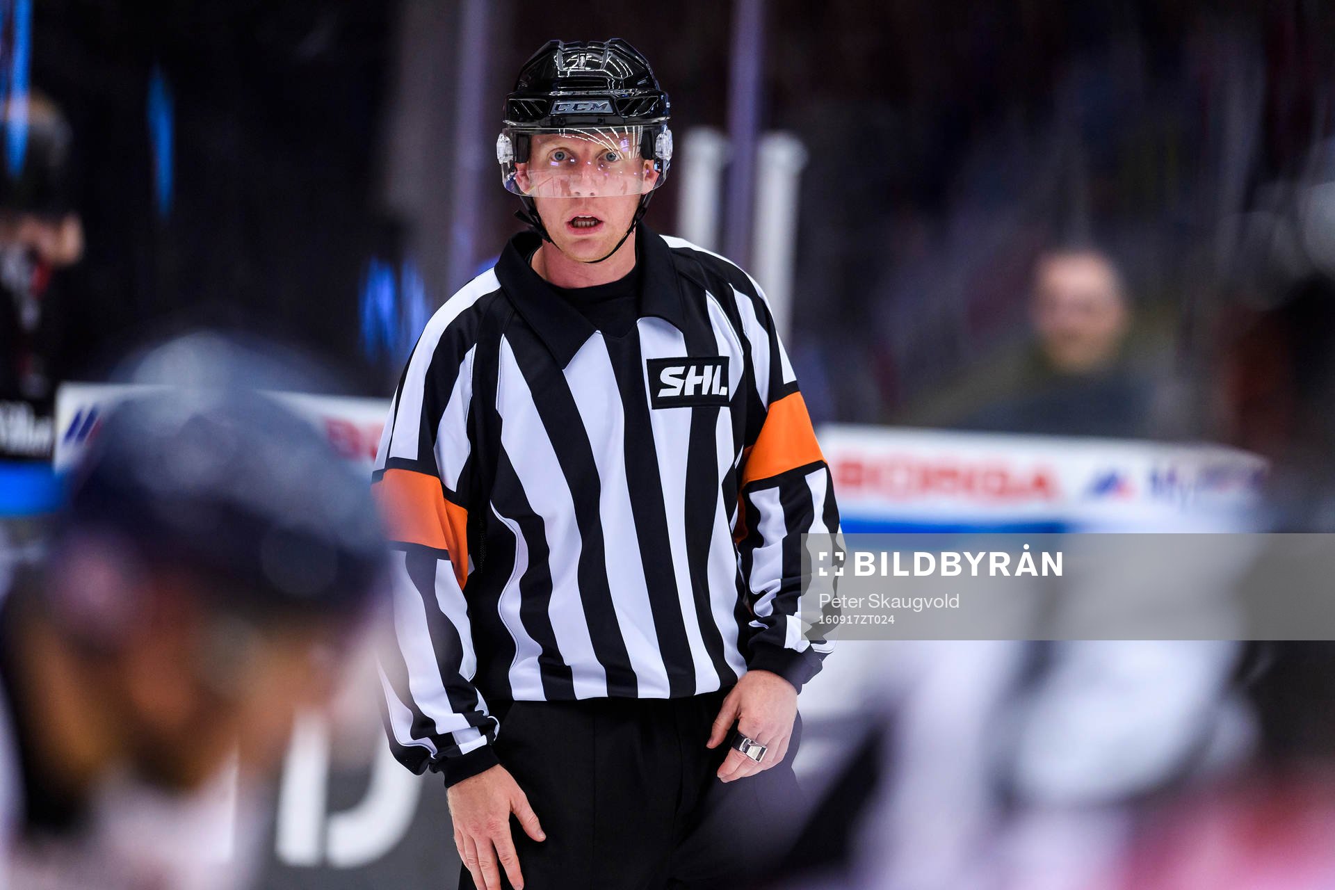 Domare Mikael Holm
