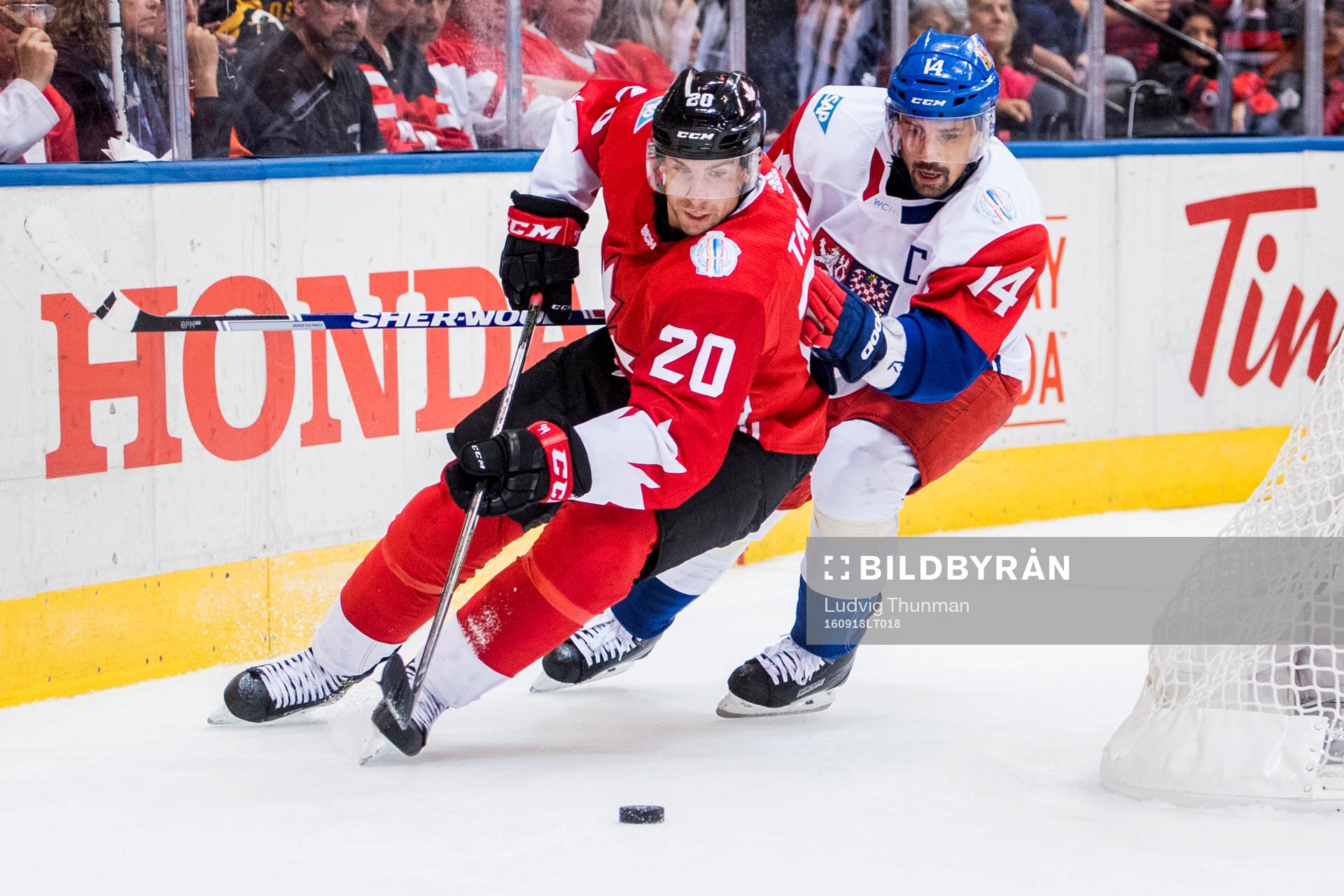 Kanadas John Tavares jagas av Tjeckiens Tomas Plekanec
