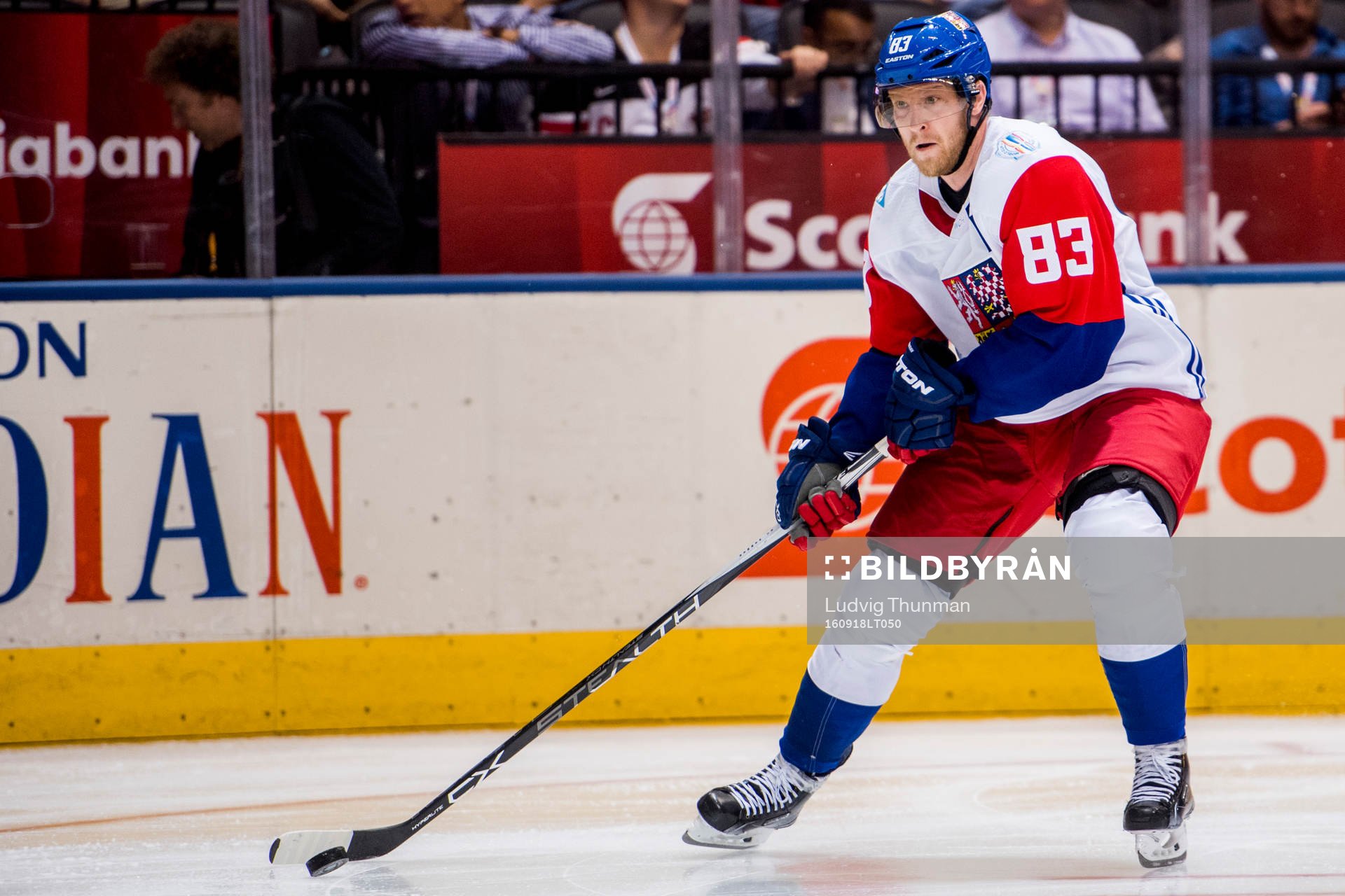 Tjeckiens Ales Hemsky