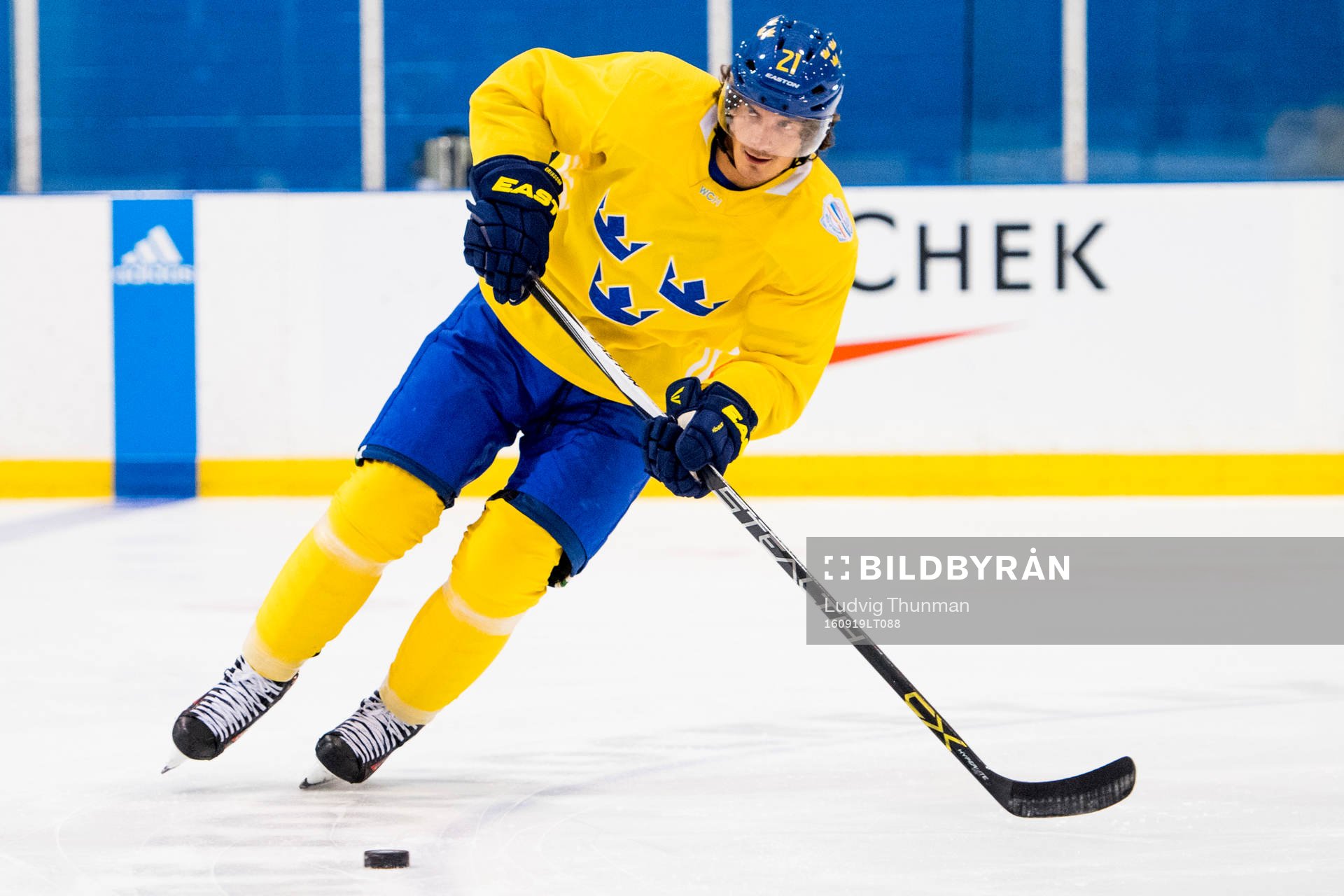 Sveriges Loui Eriksson
