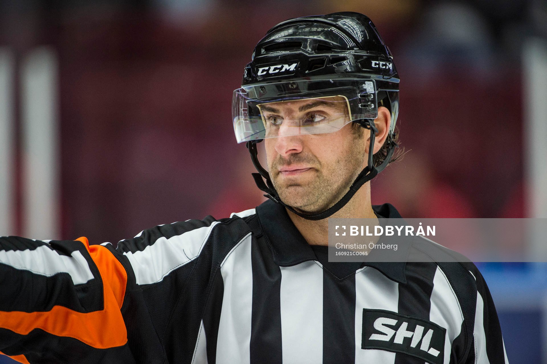 Domaren Mikael Sjöqvist