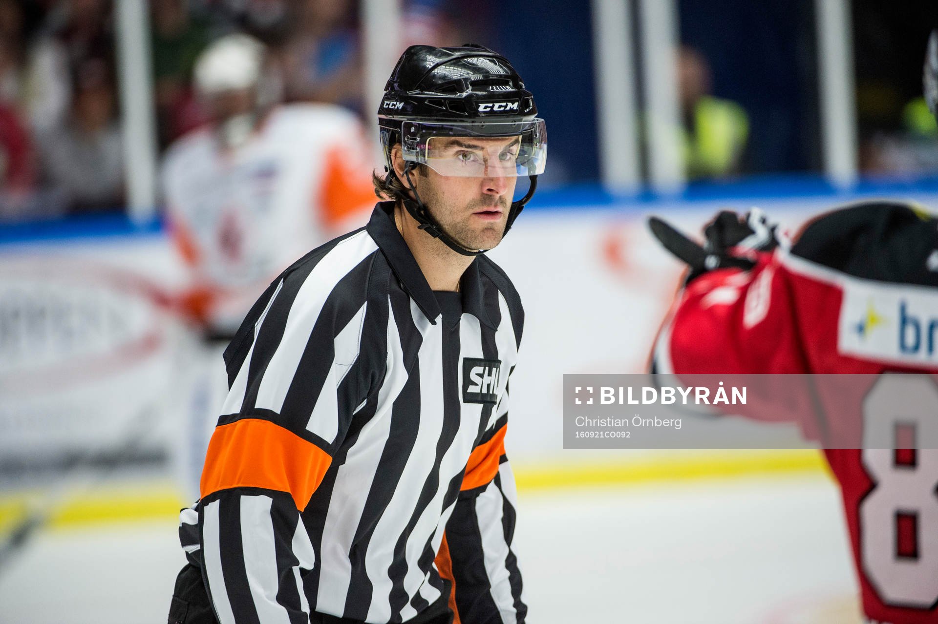Domaren Mikael Sjöqvist