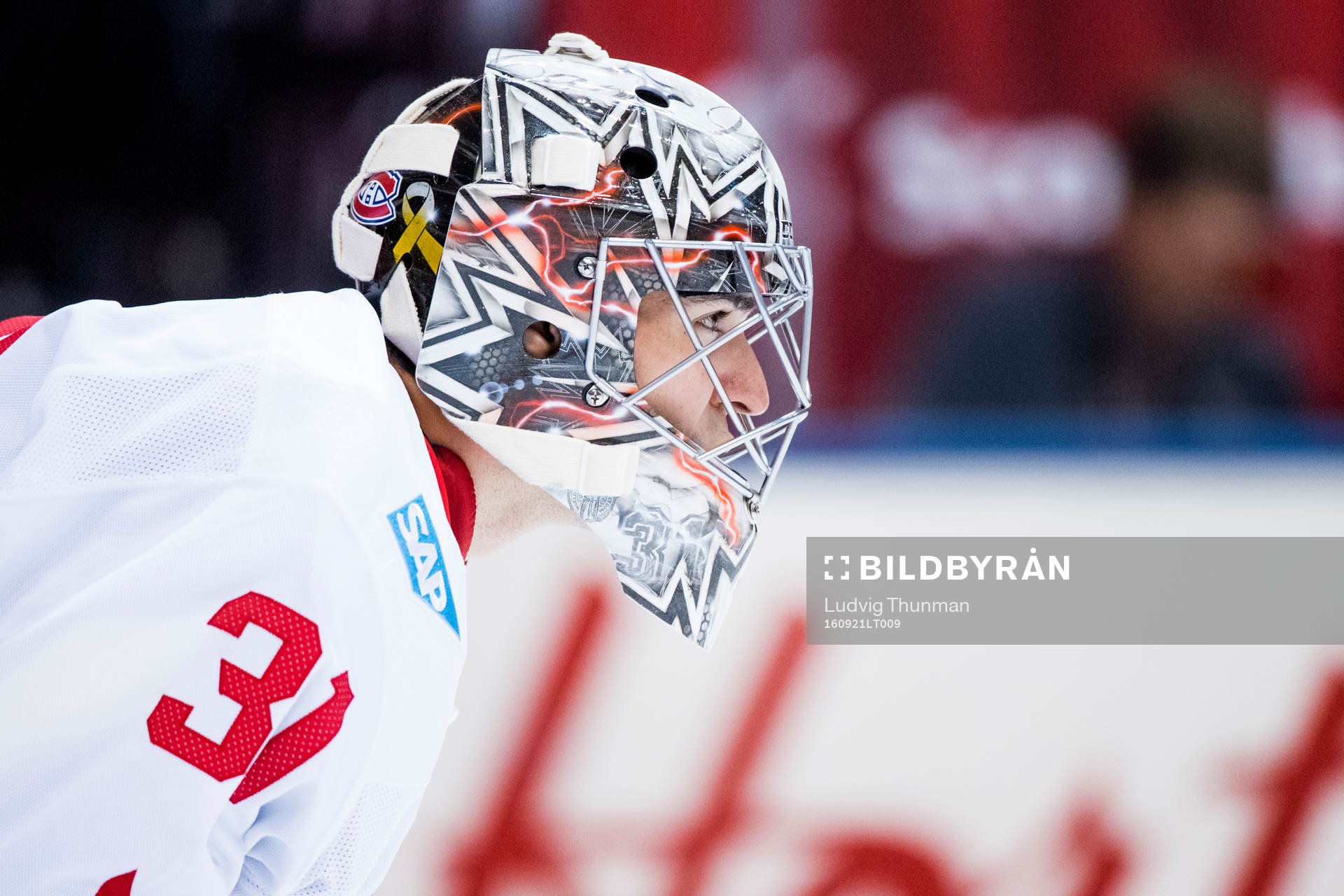 Kanadas målvakt Carey Price