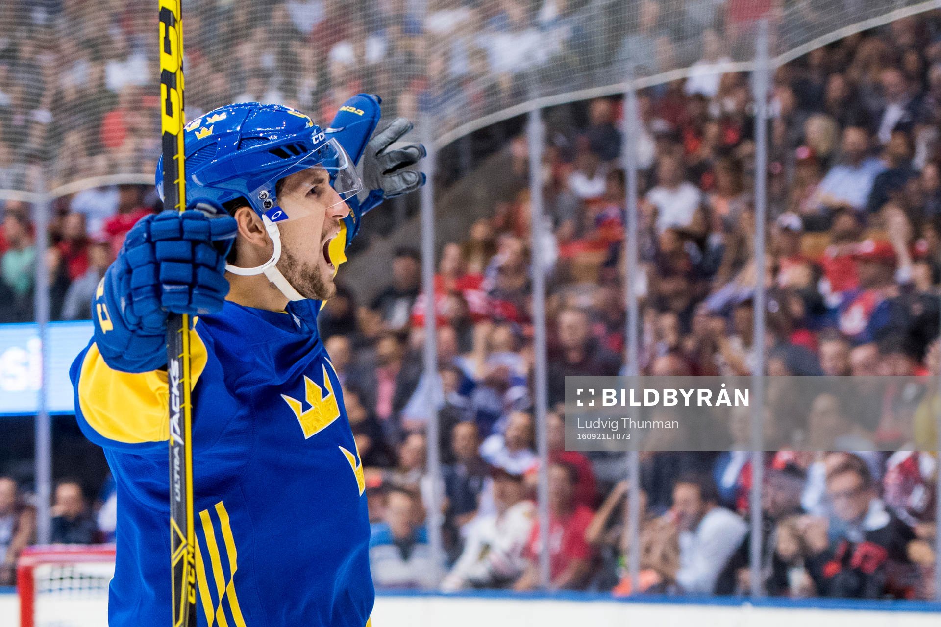 Sveriges Filip Forsberg jublar mot publiken