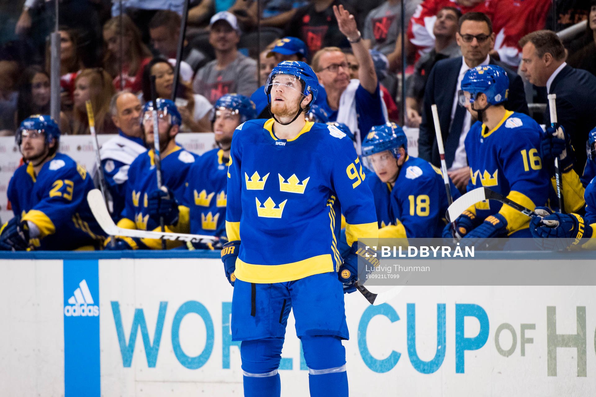 Sveriges Gabriel Landeskog deppar