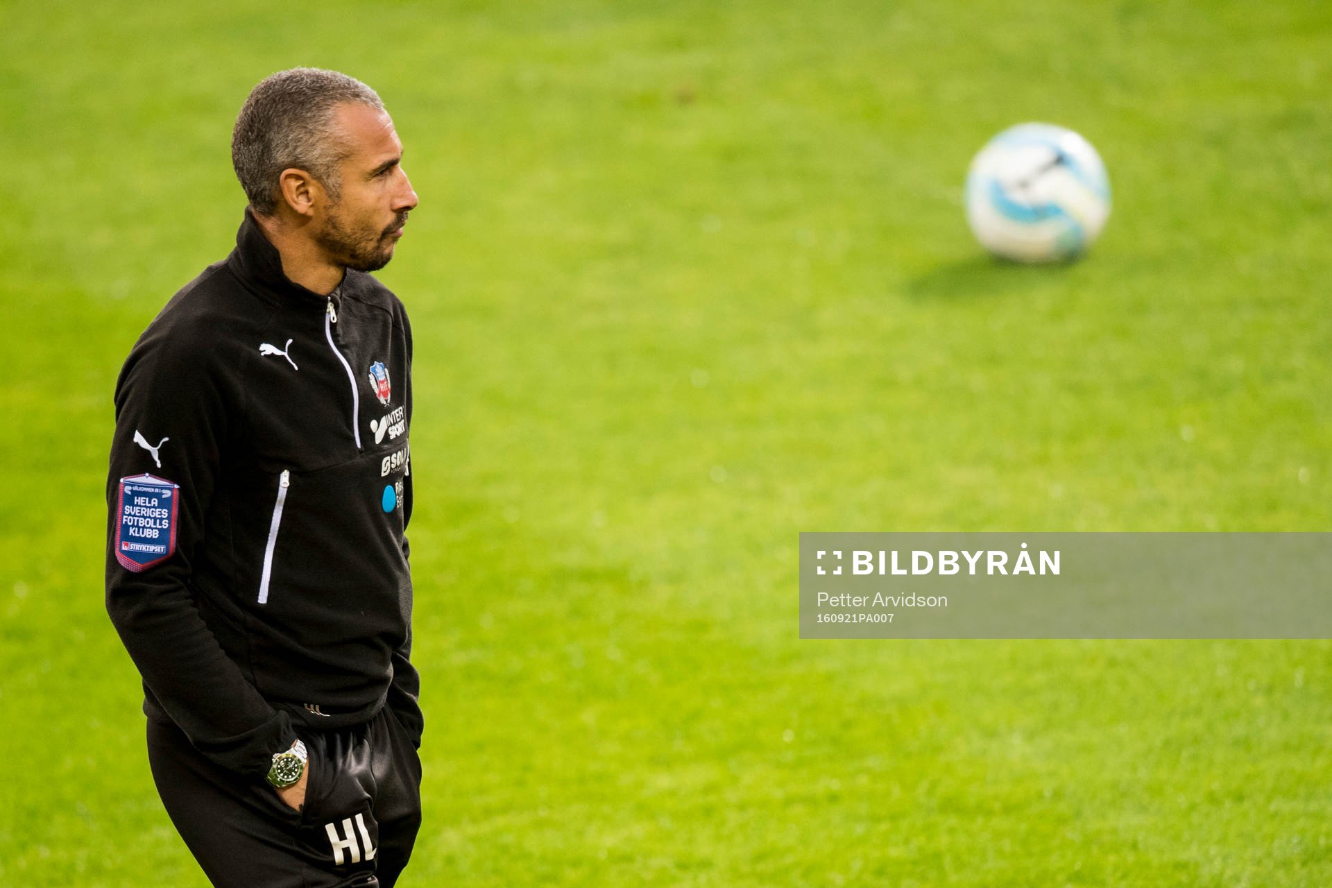 Helsingborgs manager Henrik Larsson