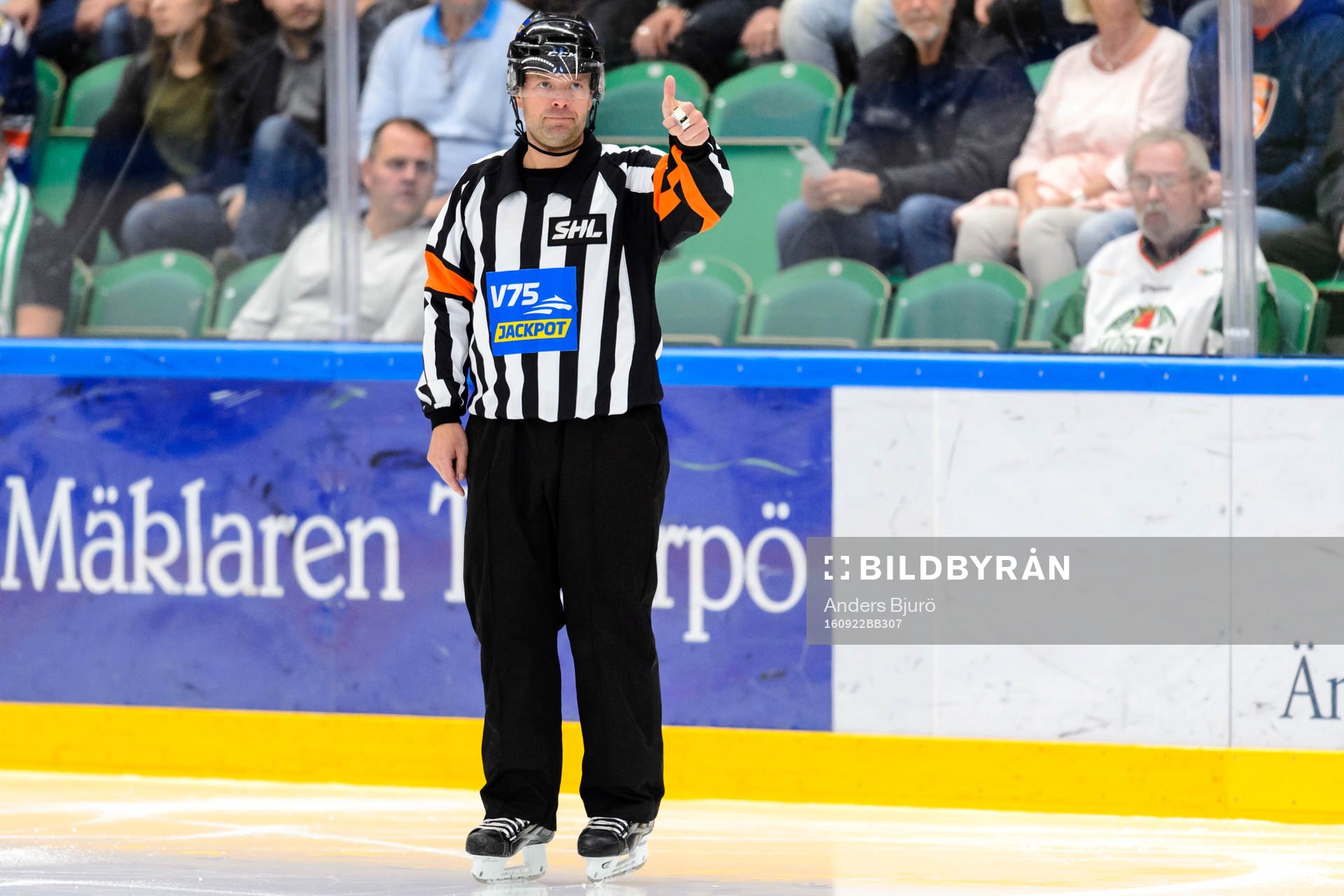 Domare Patrik Sjöberg