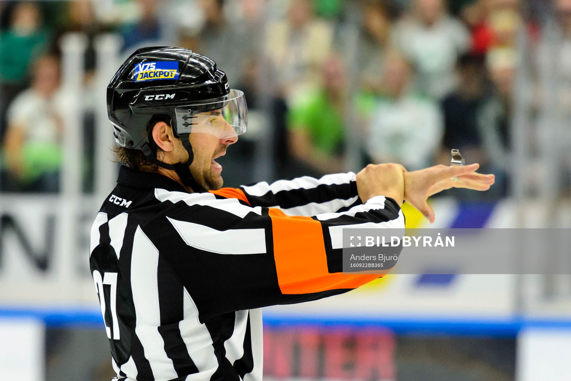 Domare Mikael Sjöqvist