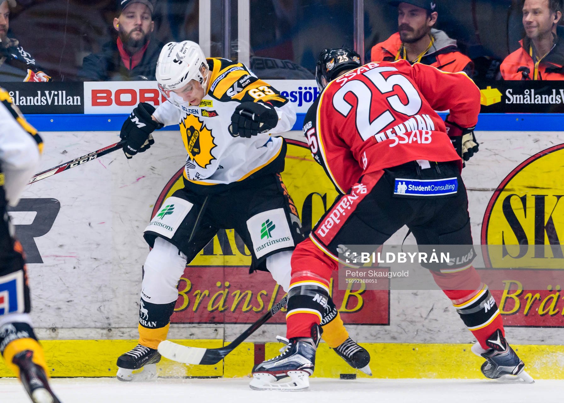 Skellefteås Sebastian Aho