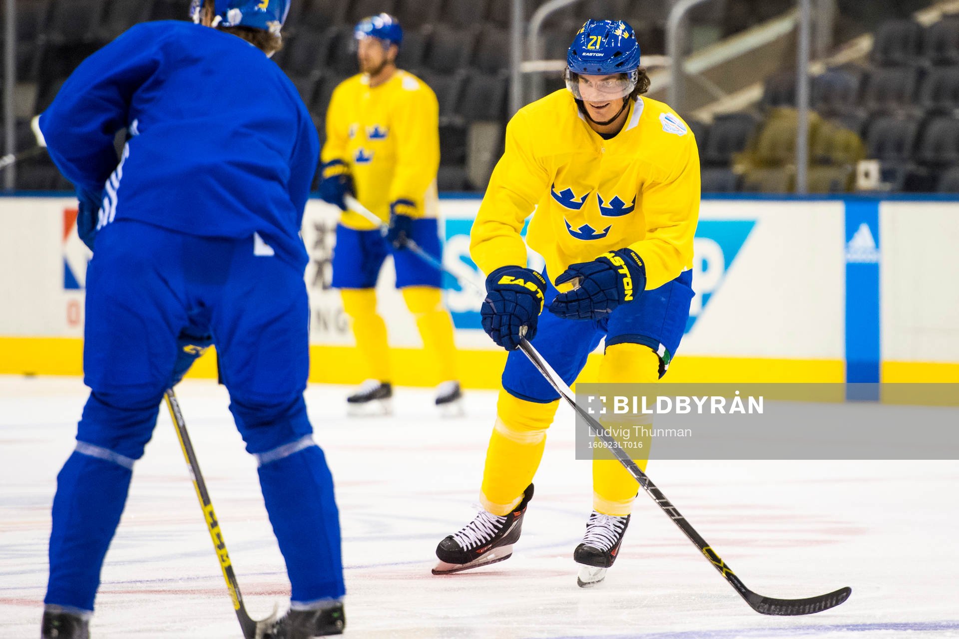 Sveriges Loui Eriksson