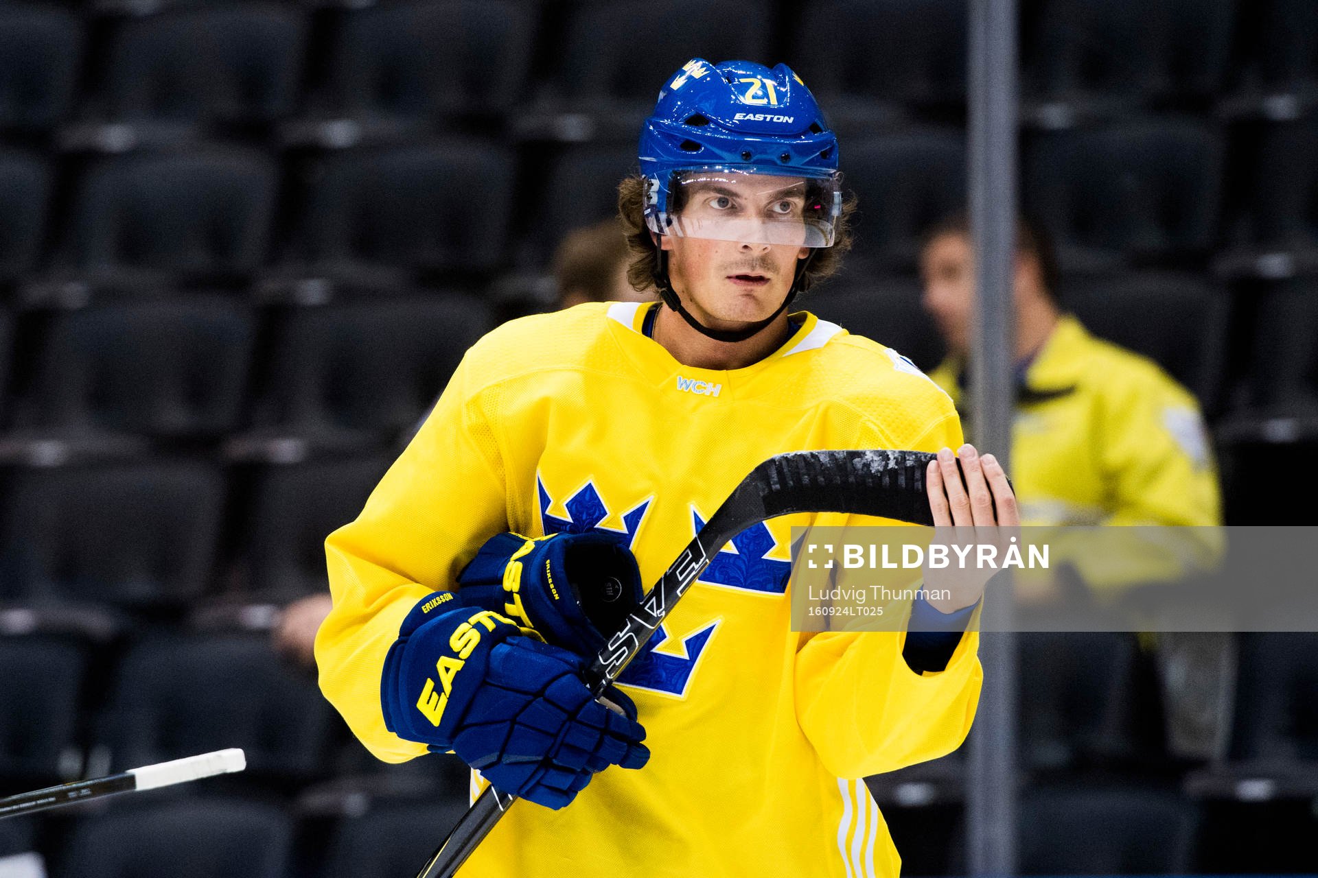Sveriges Loui Eriksson