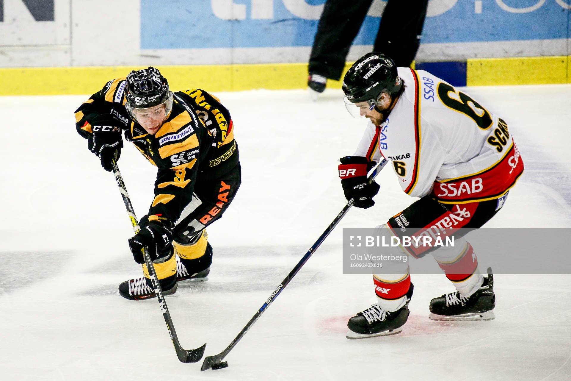 Skellefteås Tim Söderlund