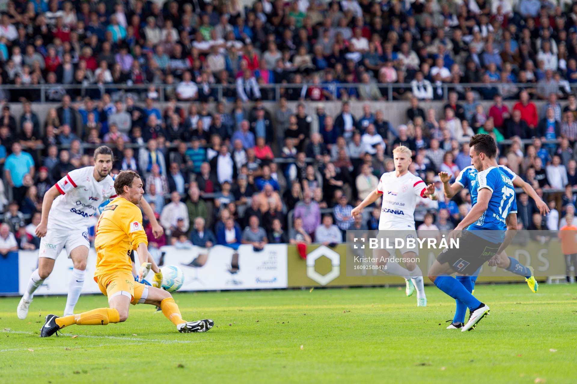 Halmstads Sead Haksabanovic gör 1-1 och jublar under fotbollsmatchen i Superettan mellan Halmstad och Assyriska den 25 september 2016 i Halmstad.