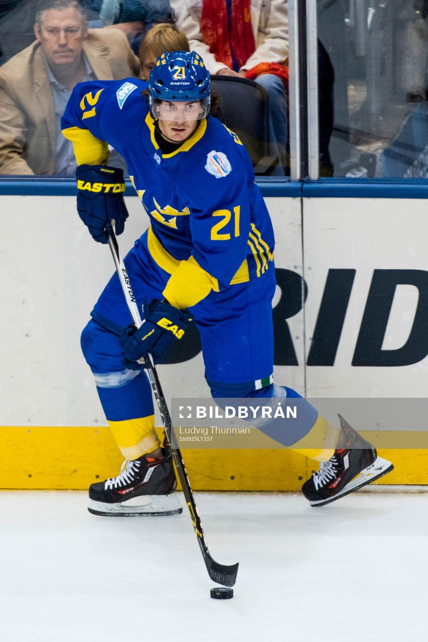 Sveriges Loui Eriksson