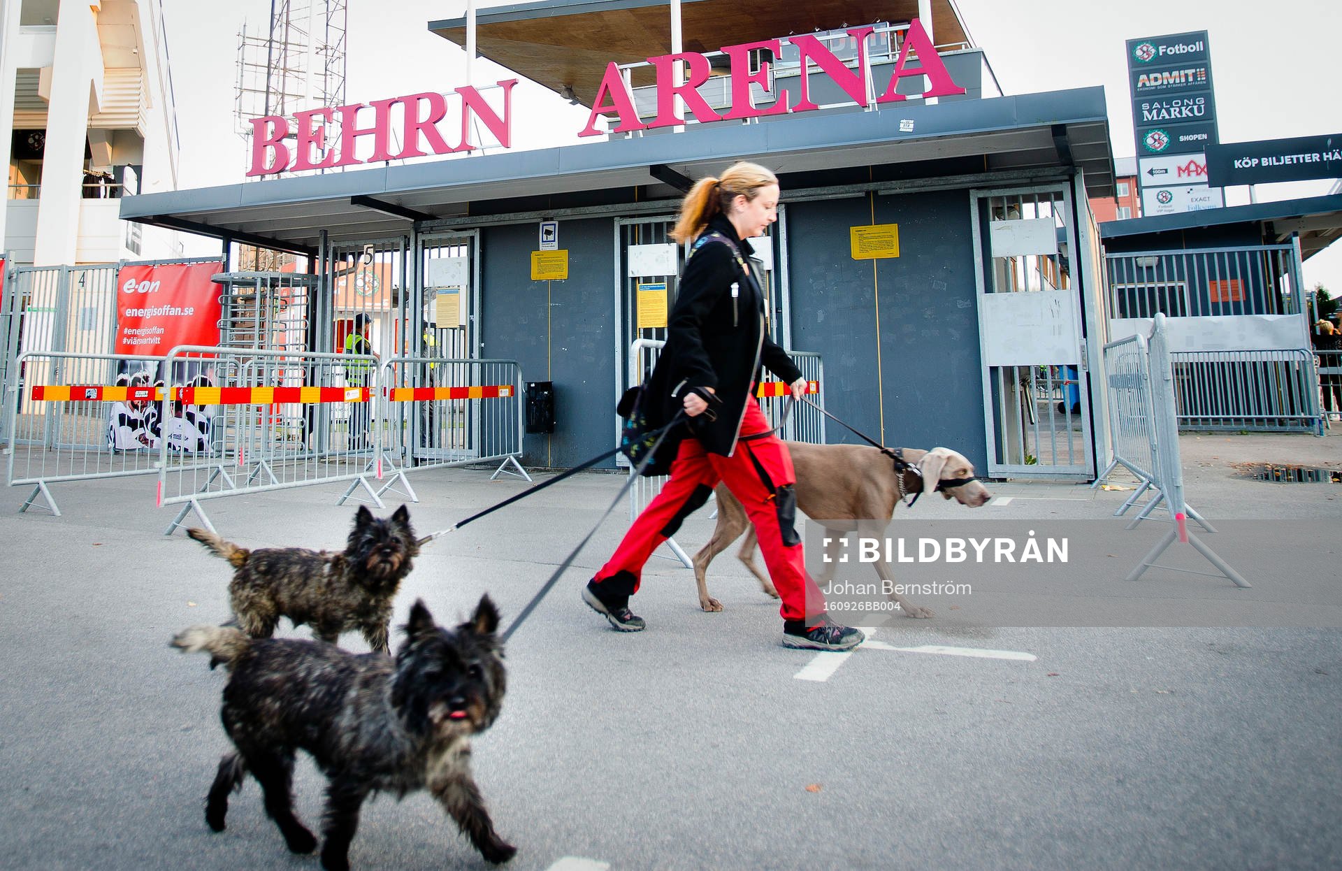 En tjej med tre hundar går förbi entrén till Behrn Arena