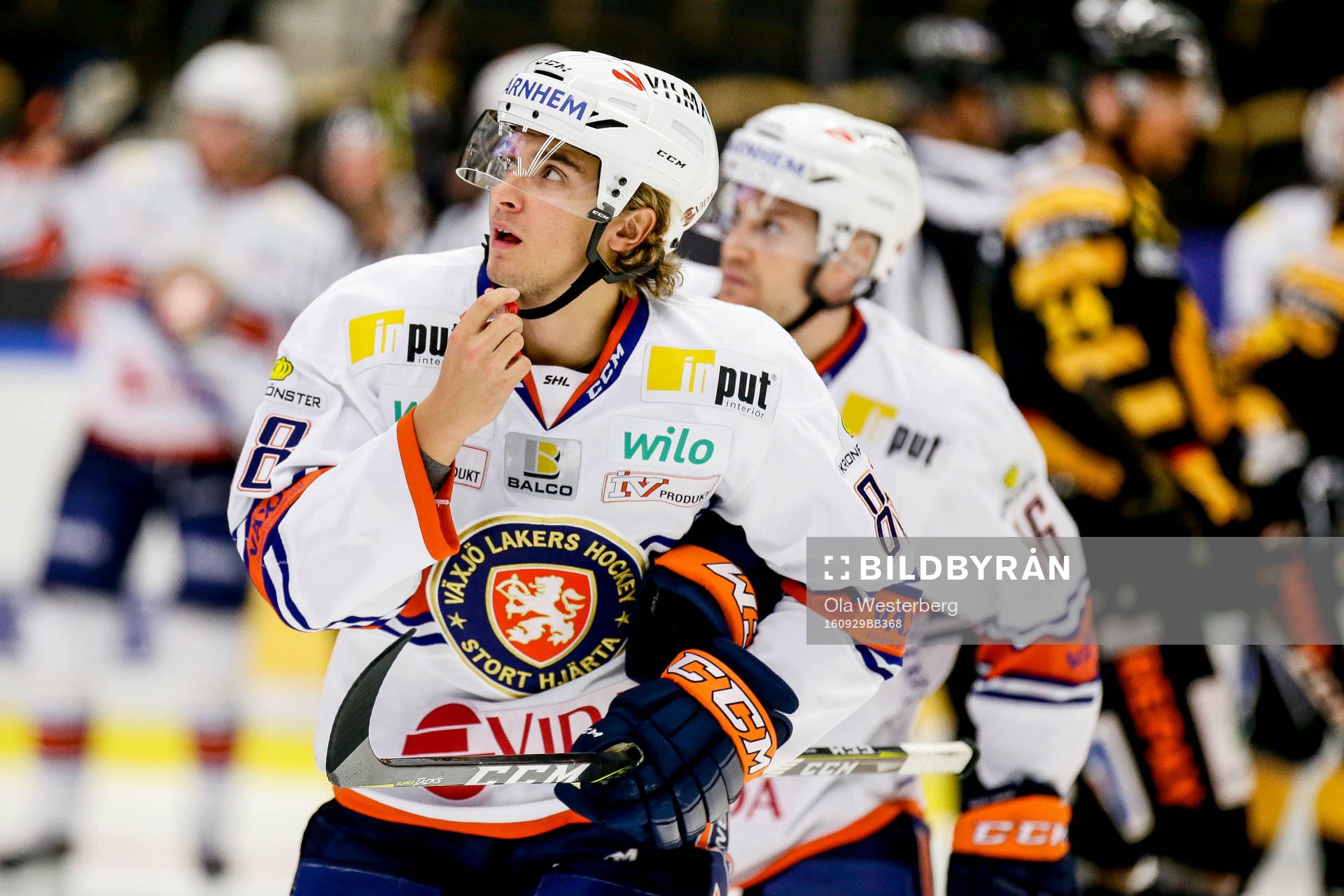 Växjös Adam Brodecki