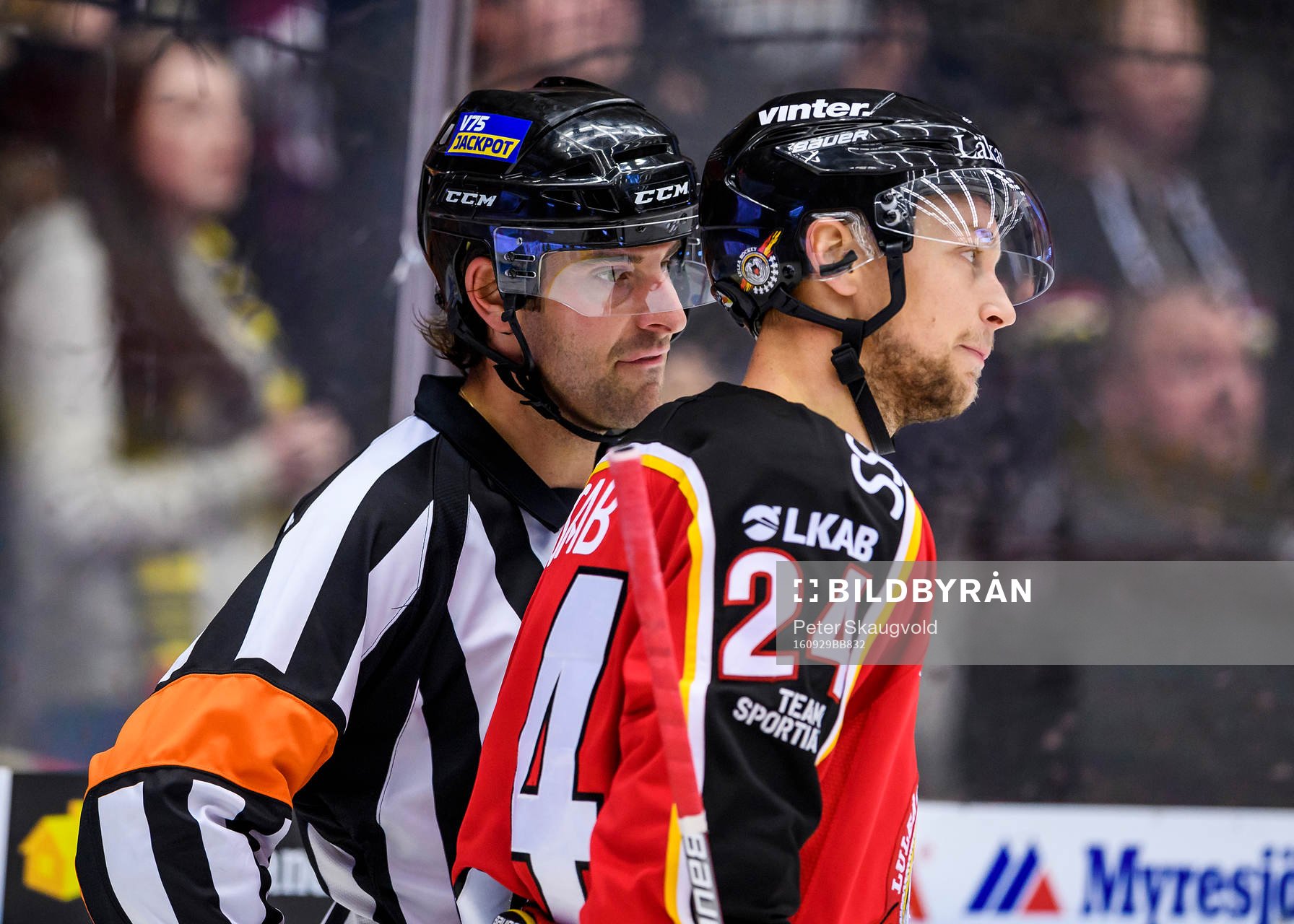 Domare Mikael Sjöqvist pratar med Luleås Johan Harju