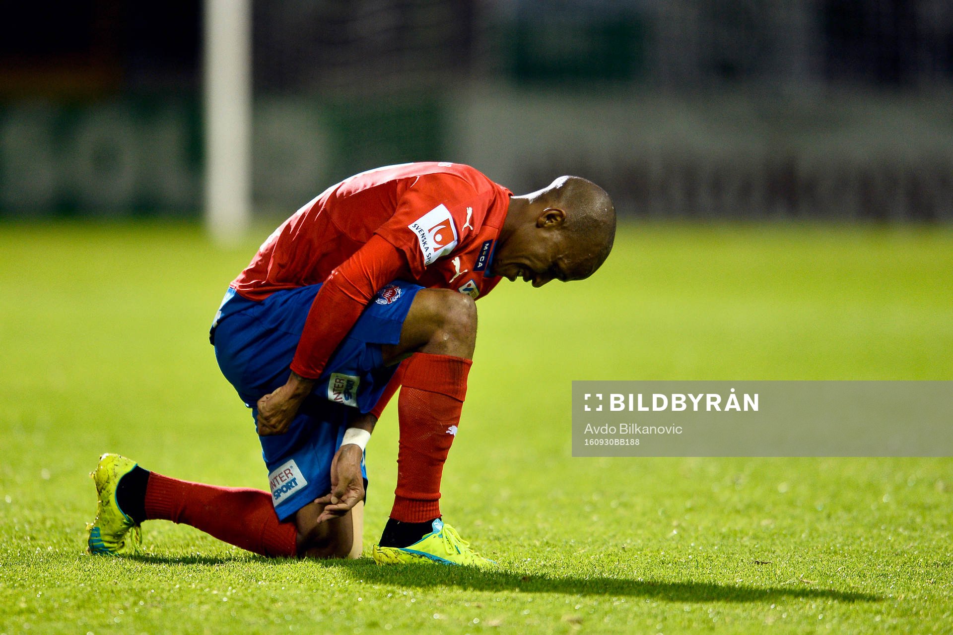 Helsingborgs Amethyst Surprise Bradley Ralani