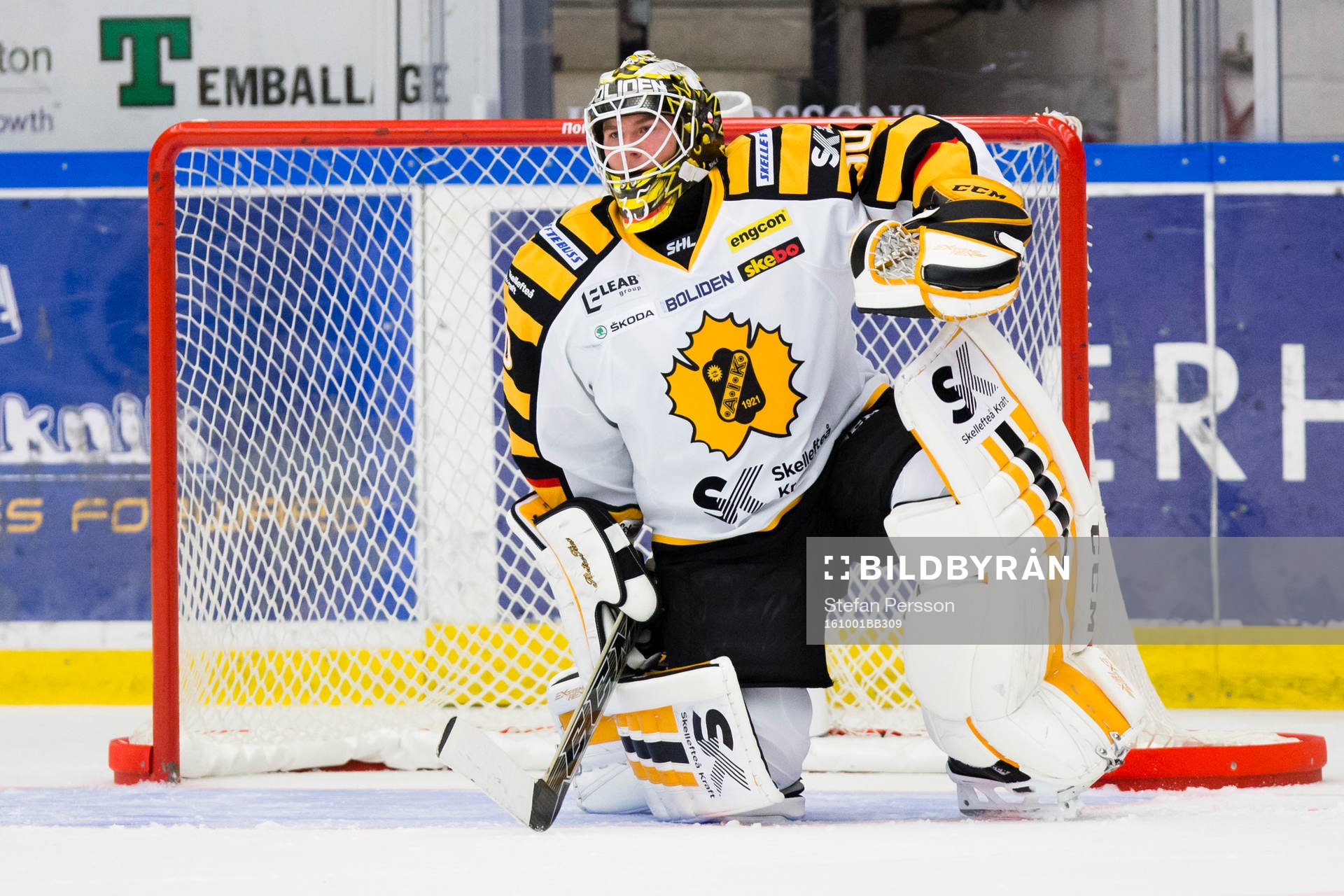 Skellefteås målvakt Jonathan Stålberg