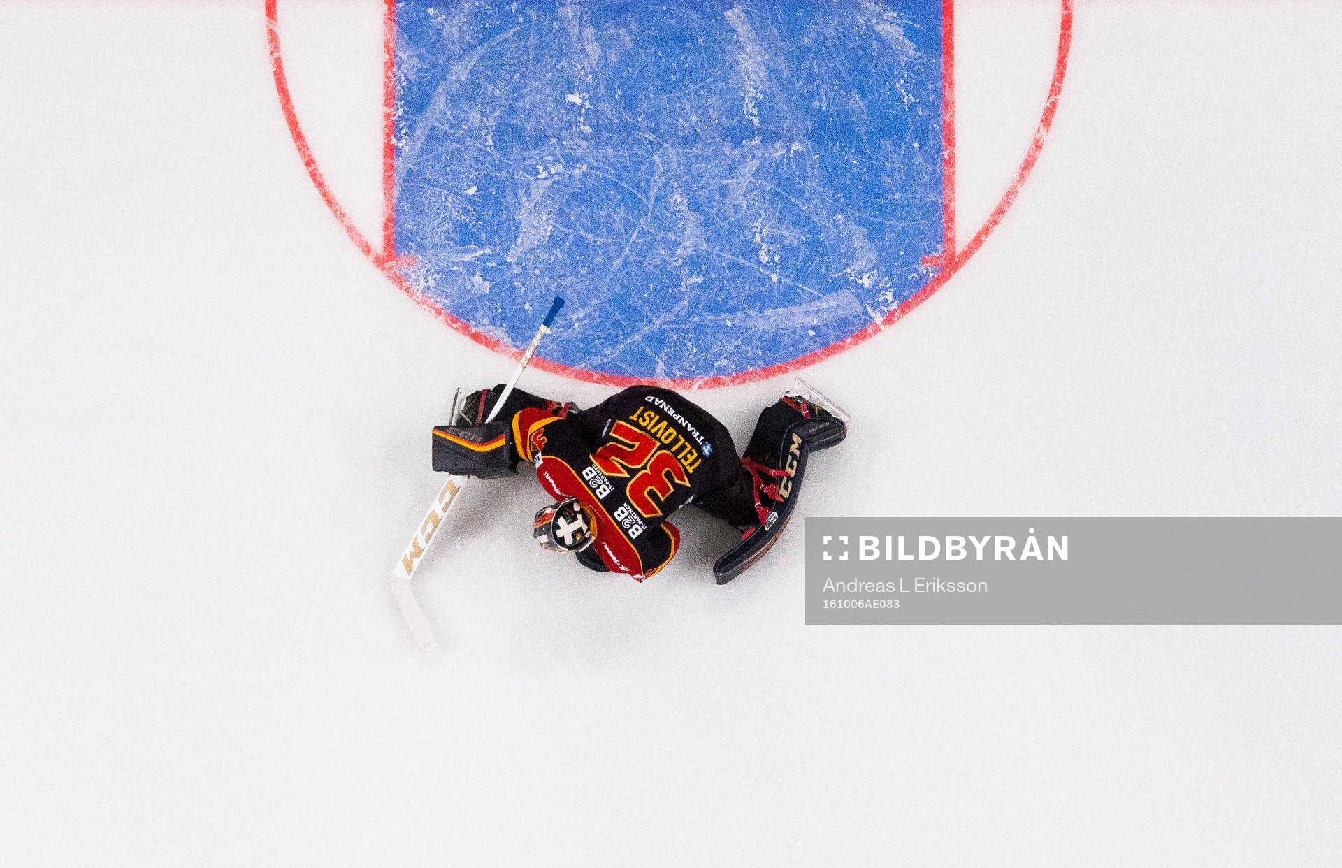 Djurgårdens målvakt Mikael Tellqvist