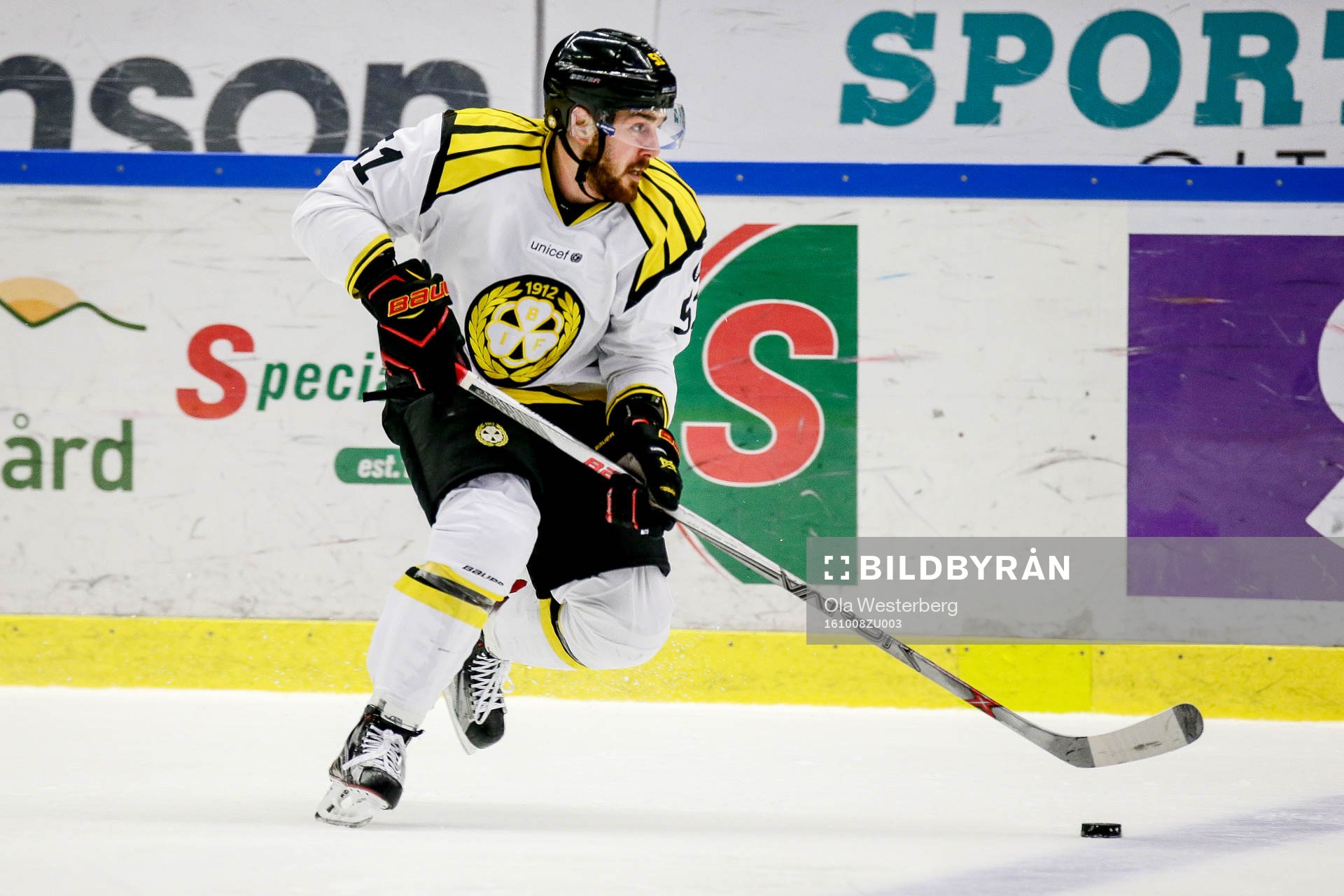Brynäs Marc Zanetti