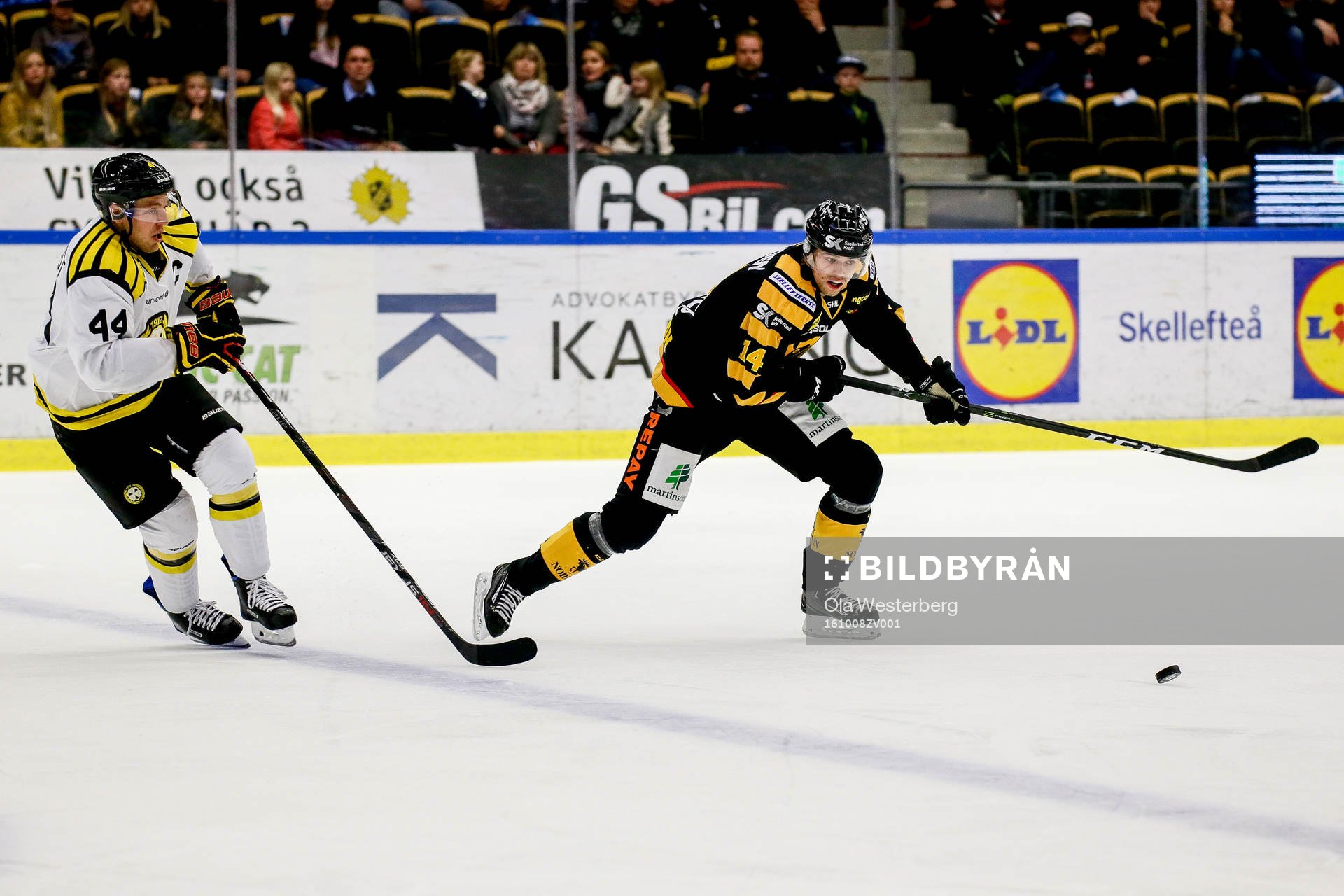 Skellefteås Emil Pettersson