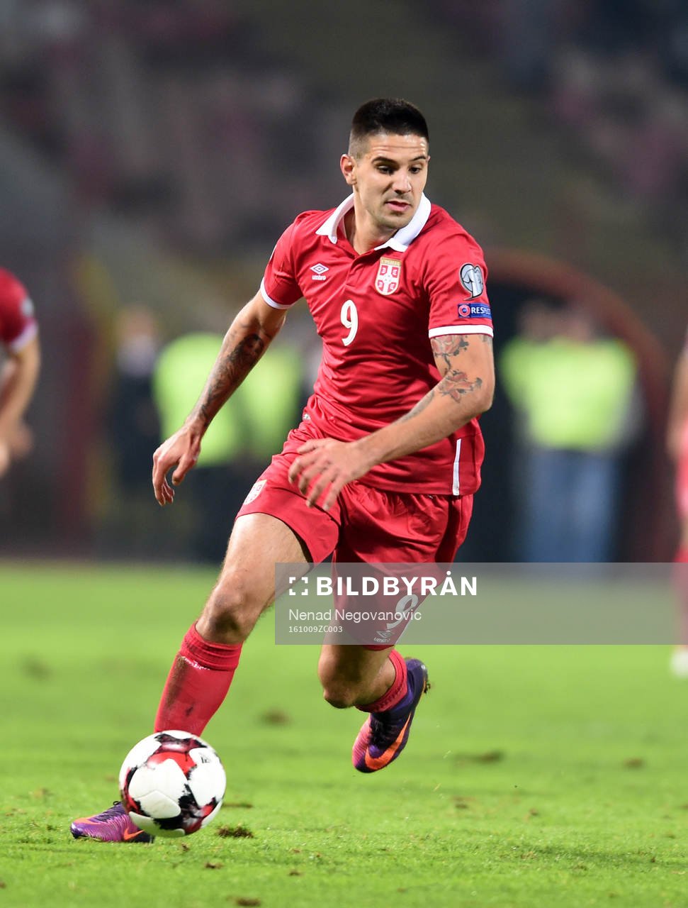 Aleksandar Mitrovic, Serbien