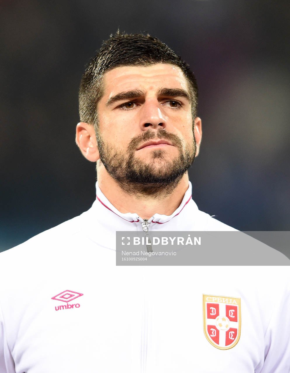 Stefan Mitrovic, Serbien