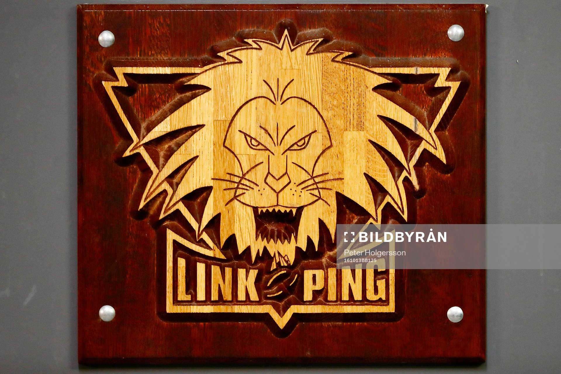 Linköpings emblem