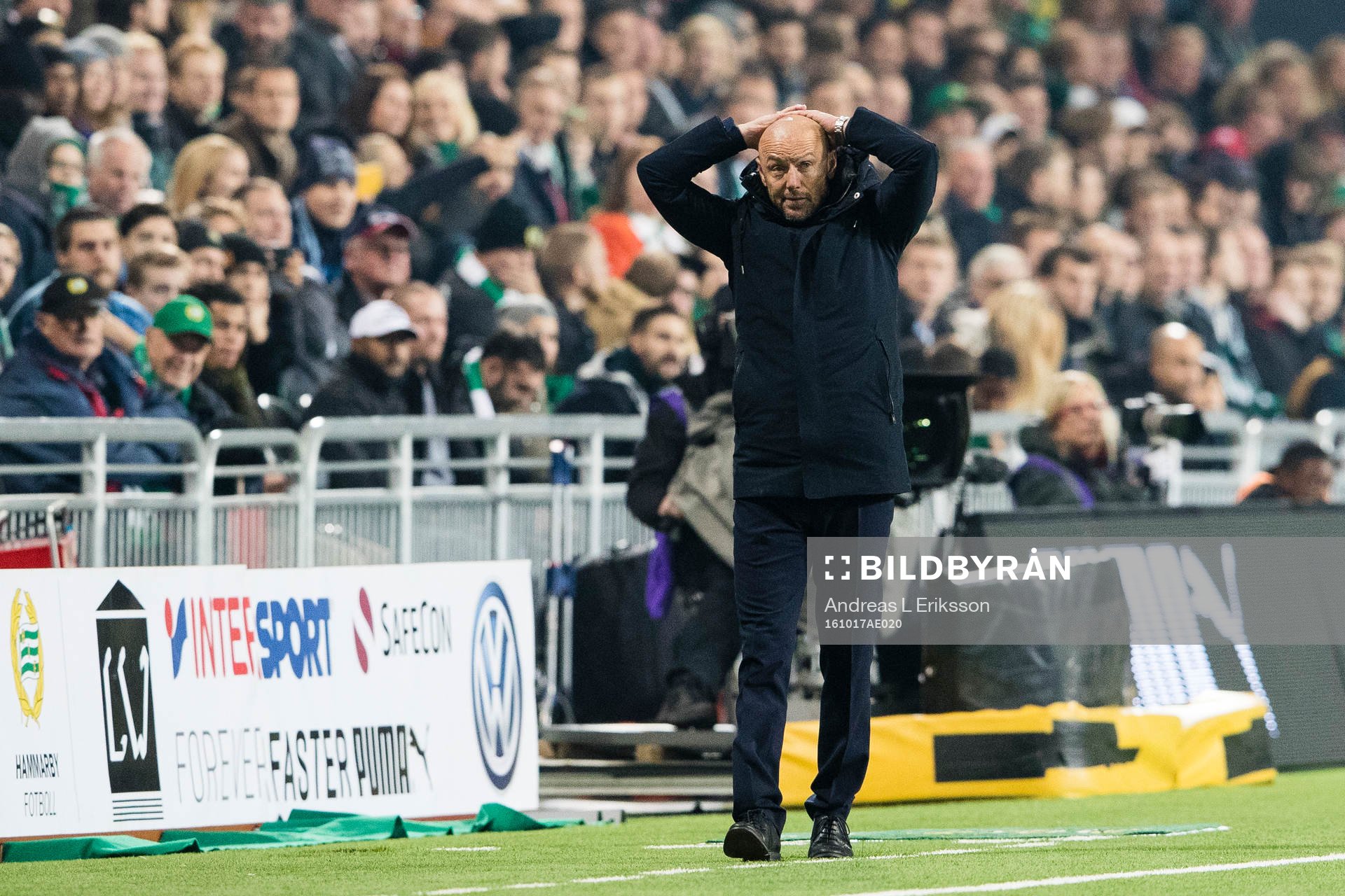 Djurgårdens tränare Mark Dempsey tar sig för huvudet