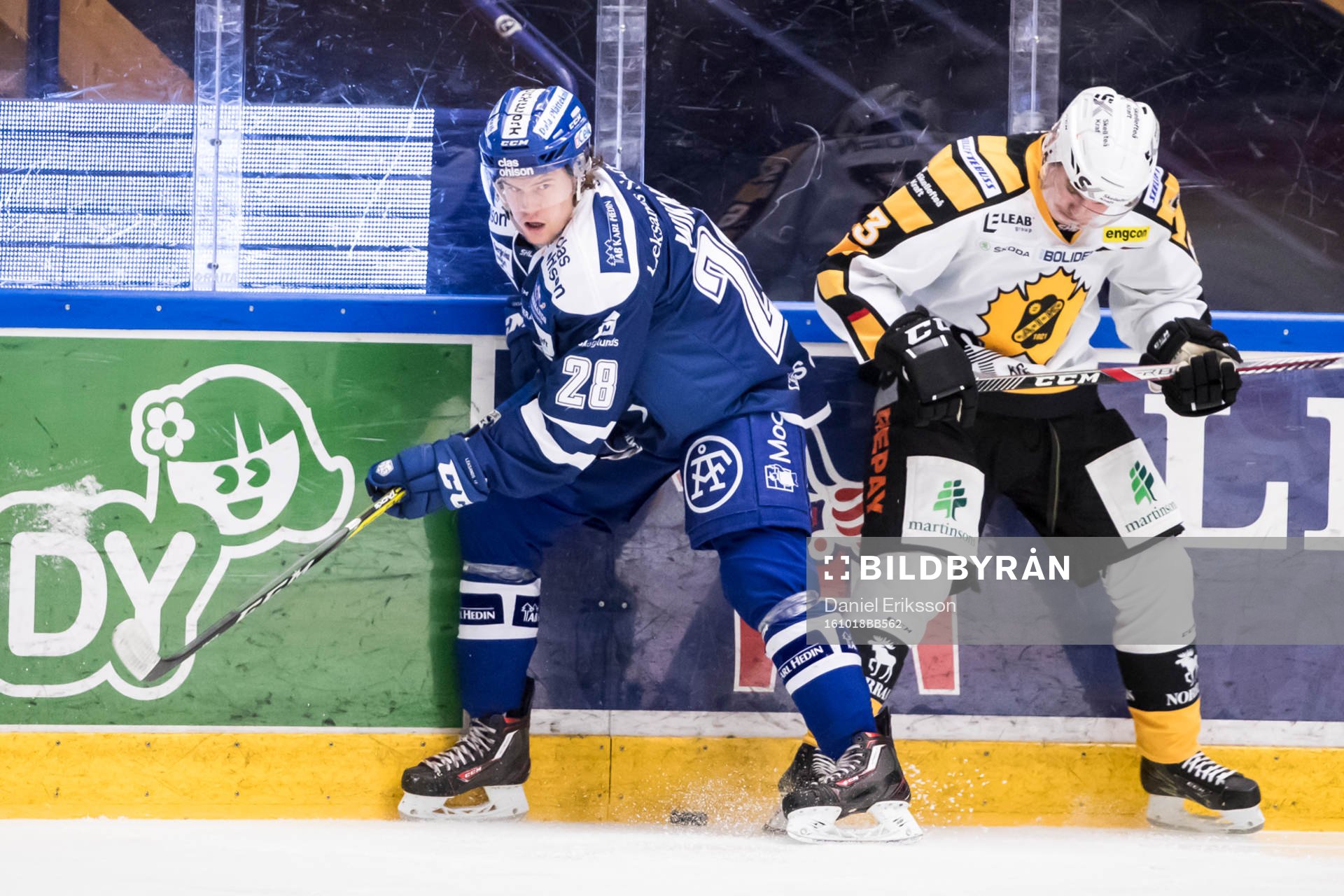Leksands William Wikman