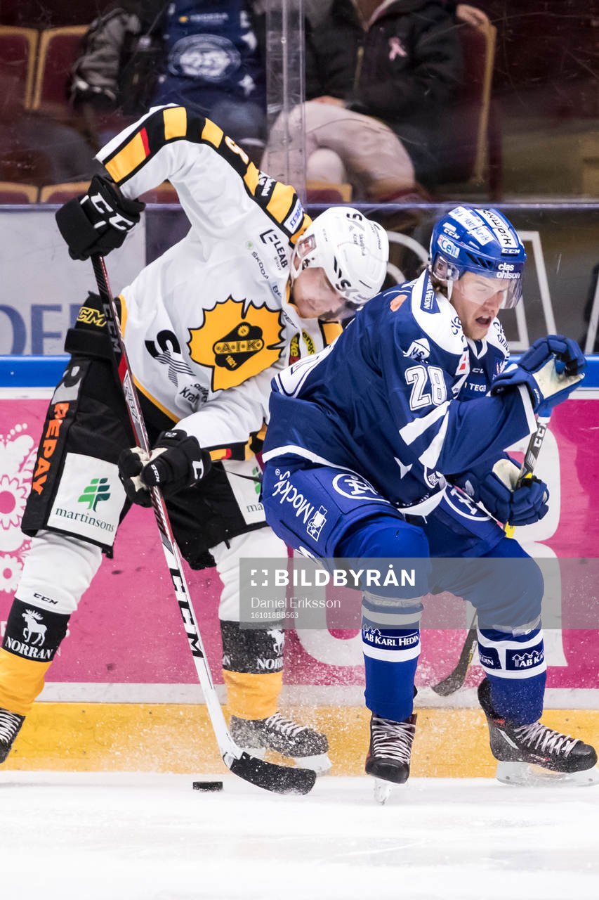 Leksands William Wikman