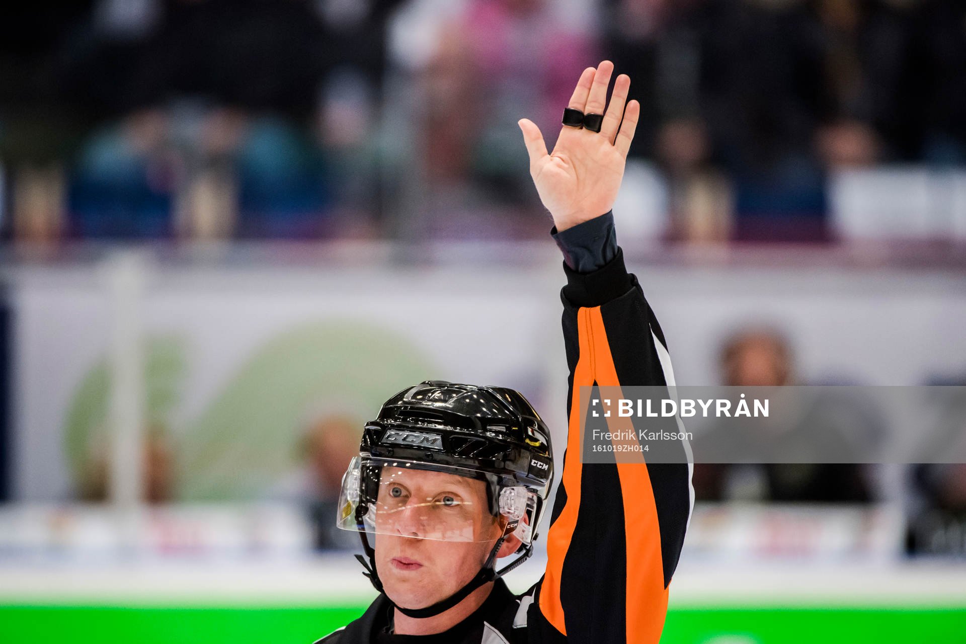 Domare Mikael Holm