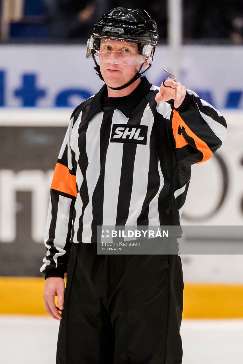 Domare Mikael Holm