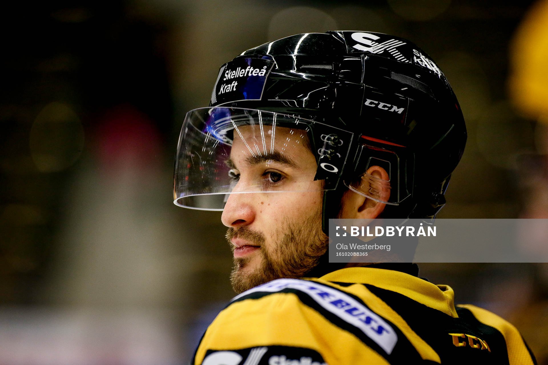 Skellefteås Andrew Calof