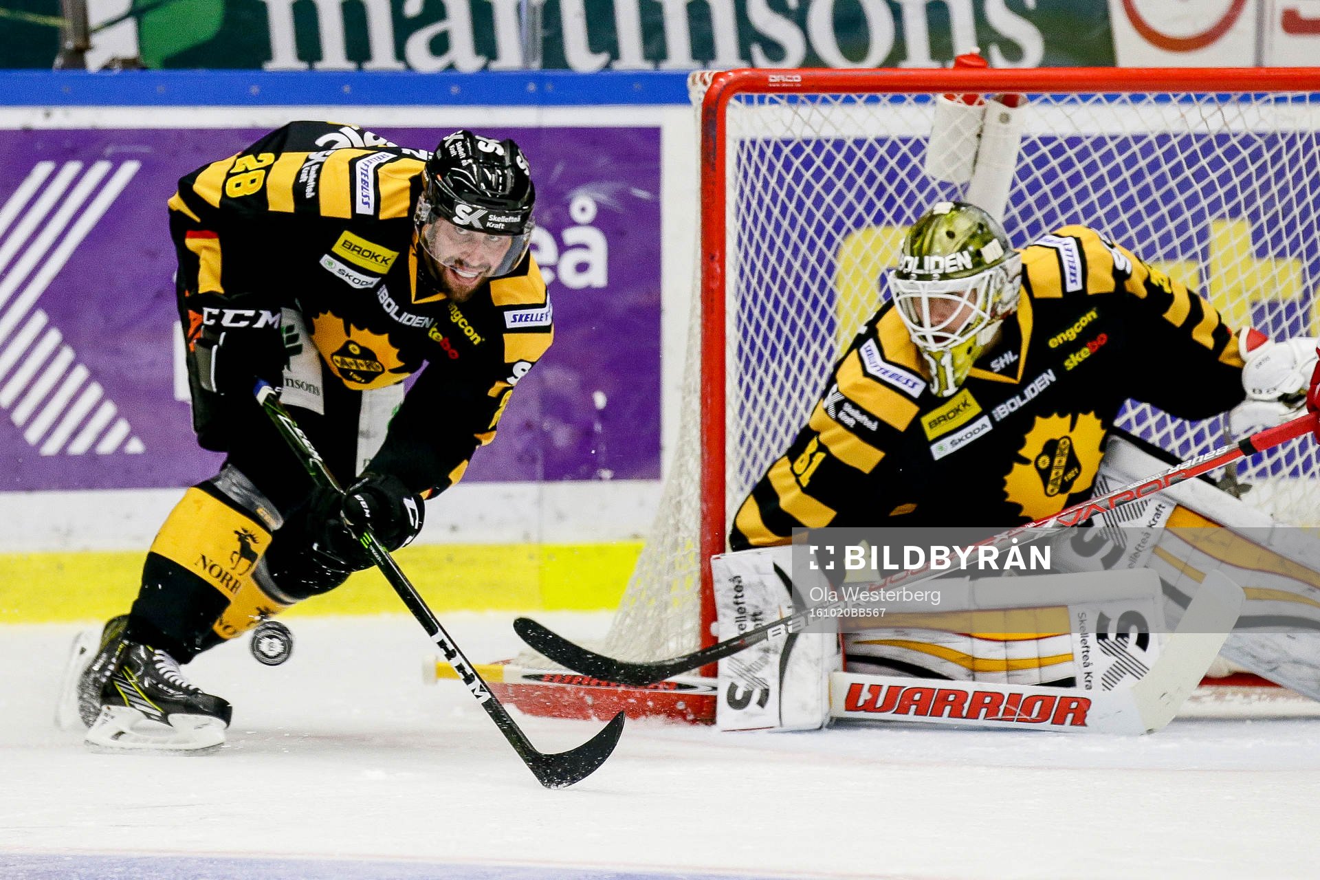 Skellefteås Johan Alm och målvakt Joni Ortio