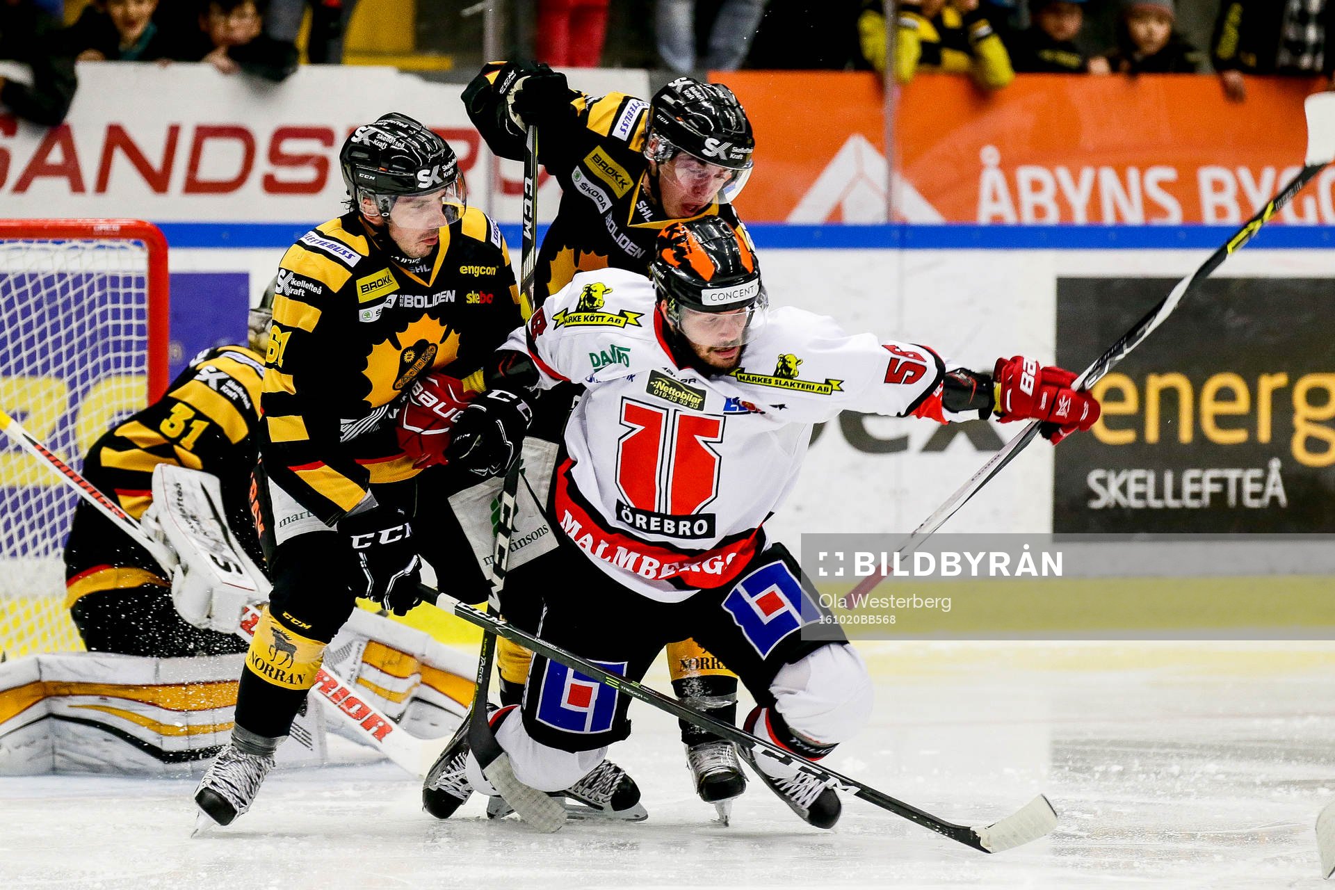 Skellefteås Fredrik Lindgren