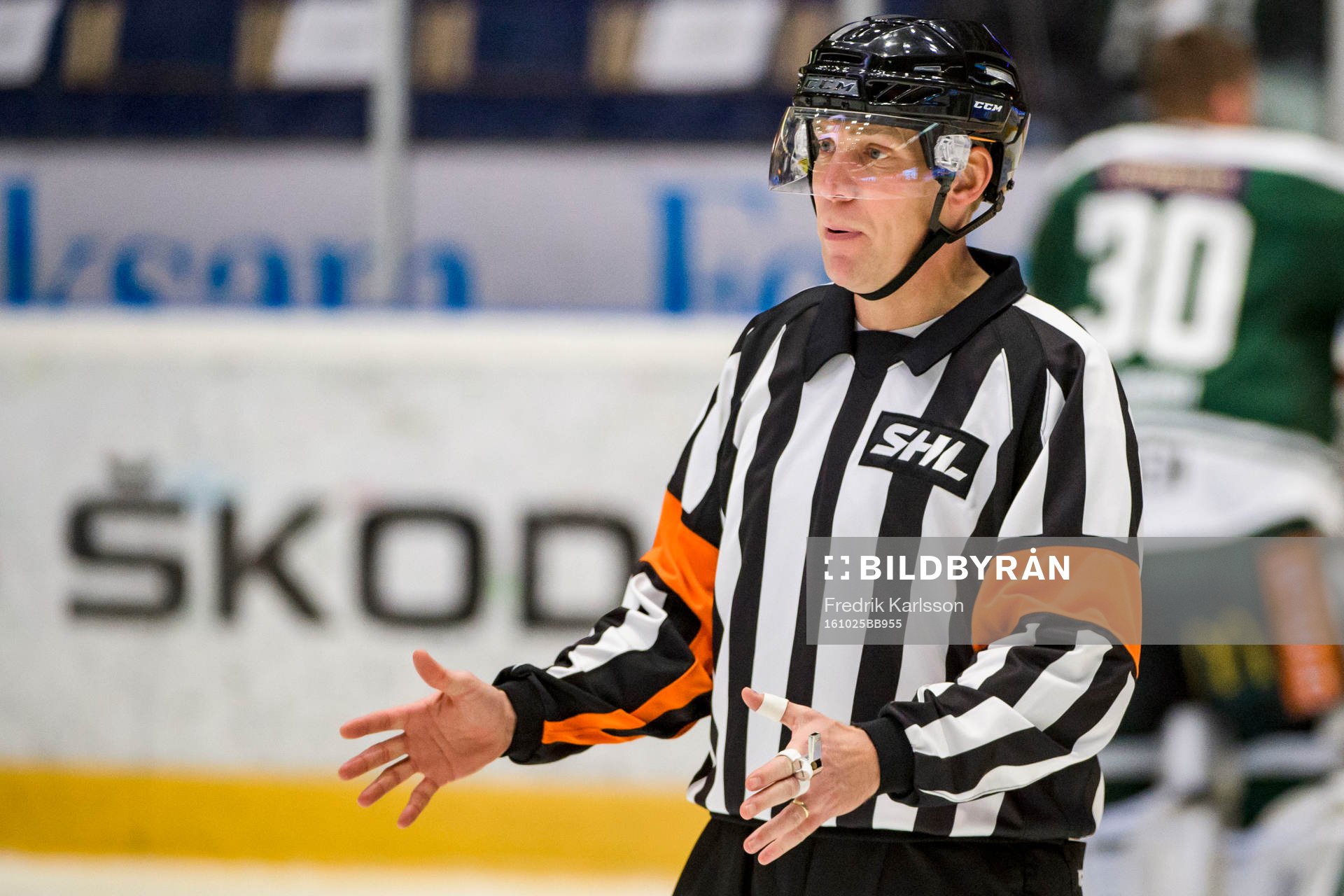 Domare Morgan Johansson
