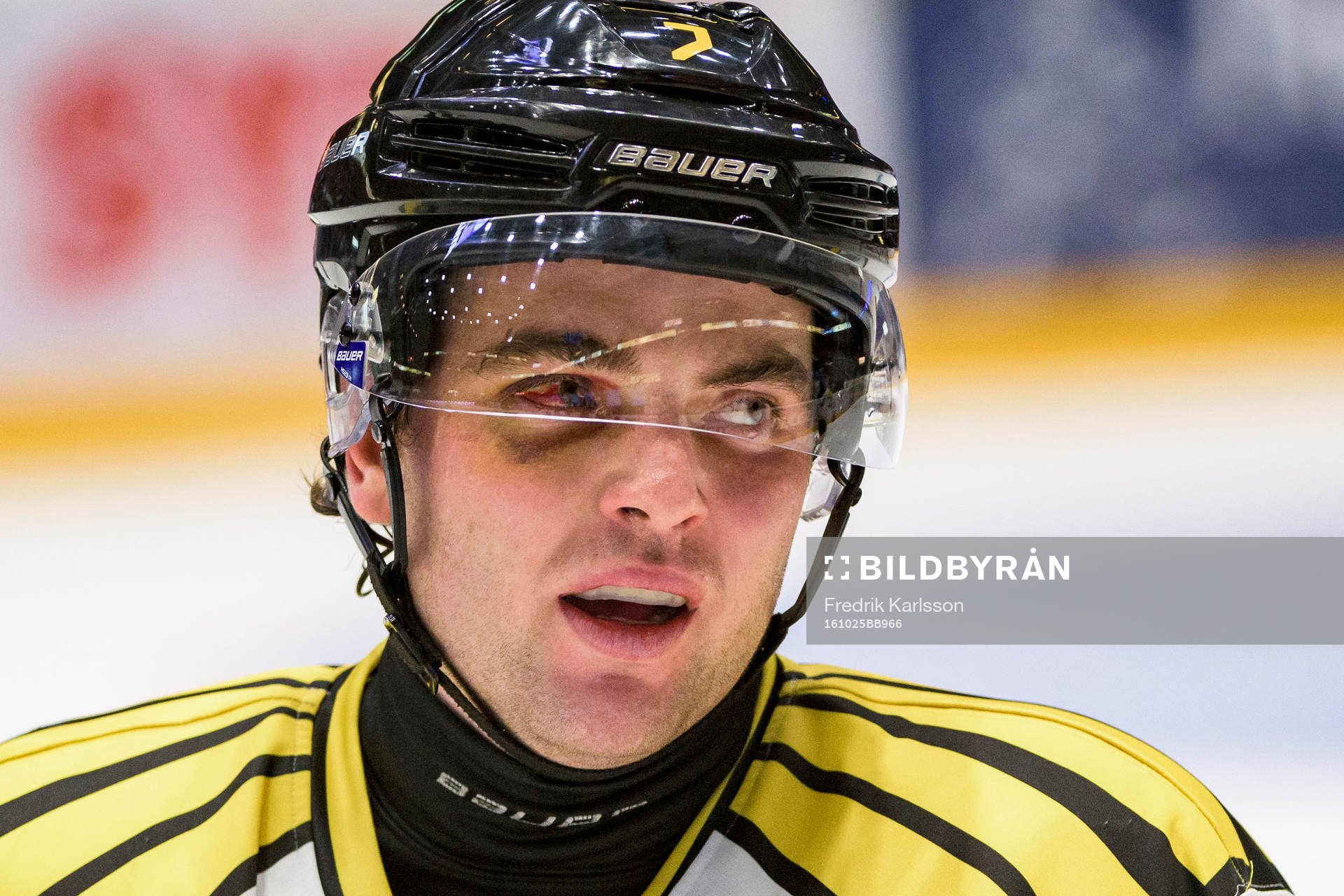 Brynäs Ponthus Westerholm
