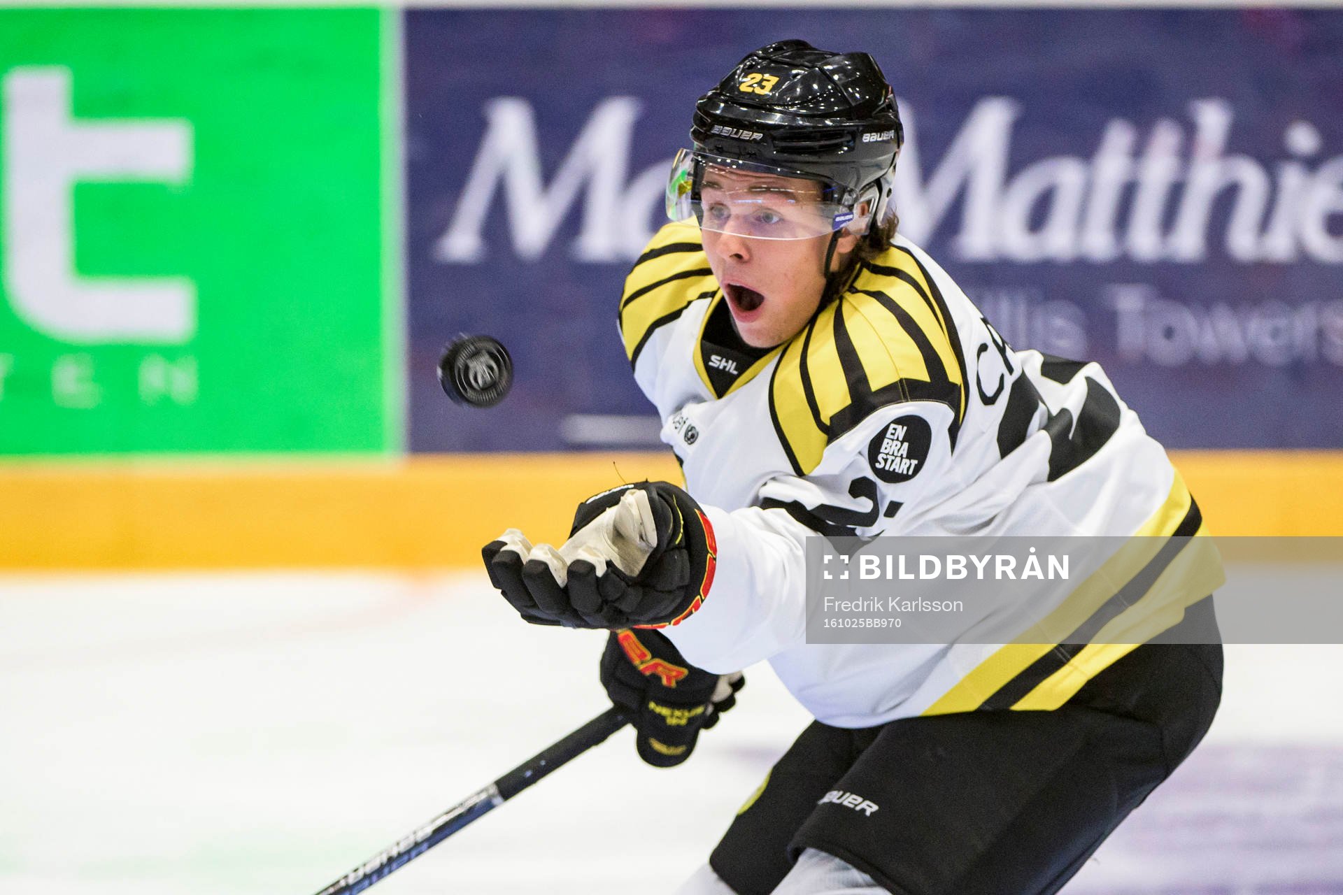 Brynäs Lucas Carlsson