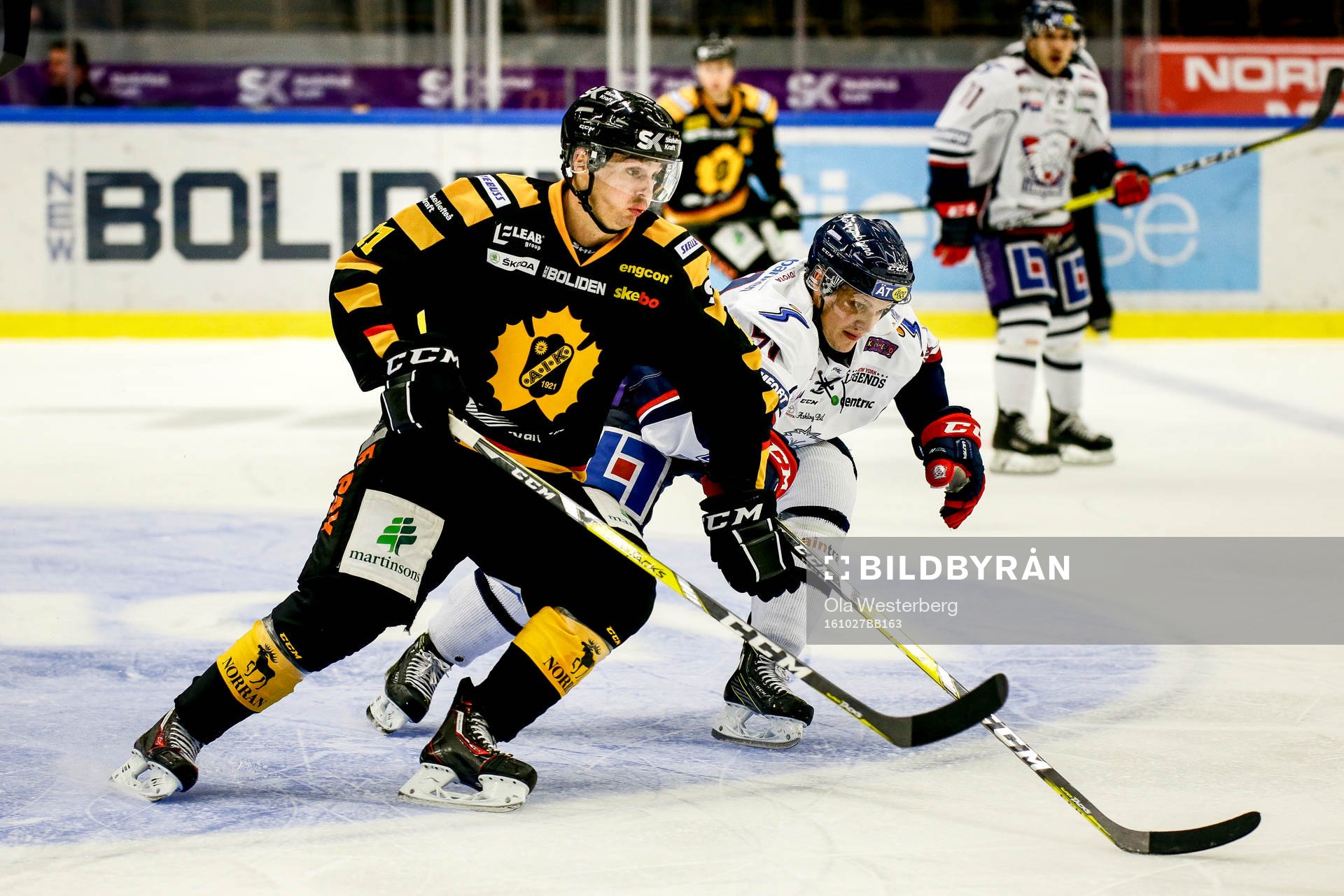 Skellefteås Henrik Hetta