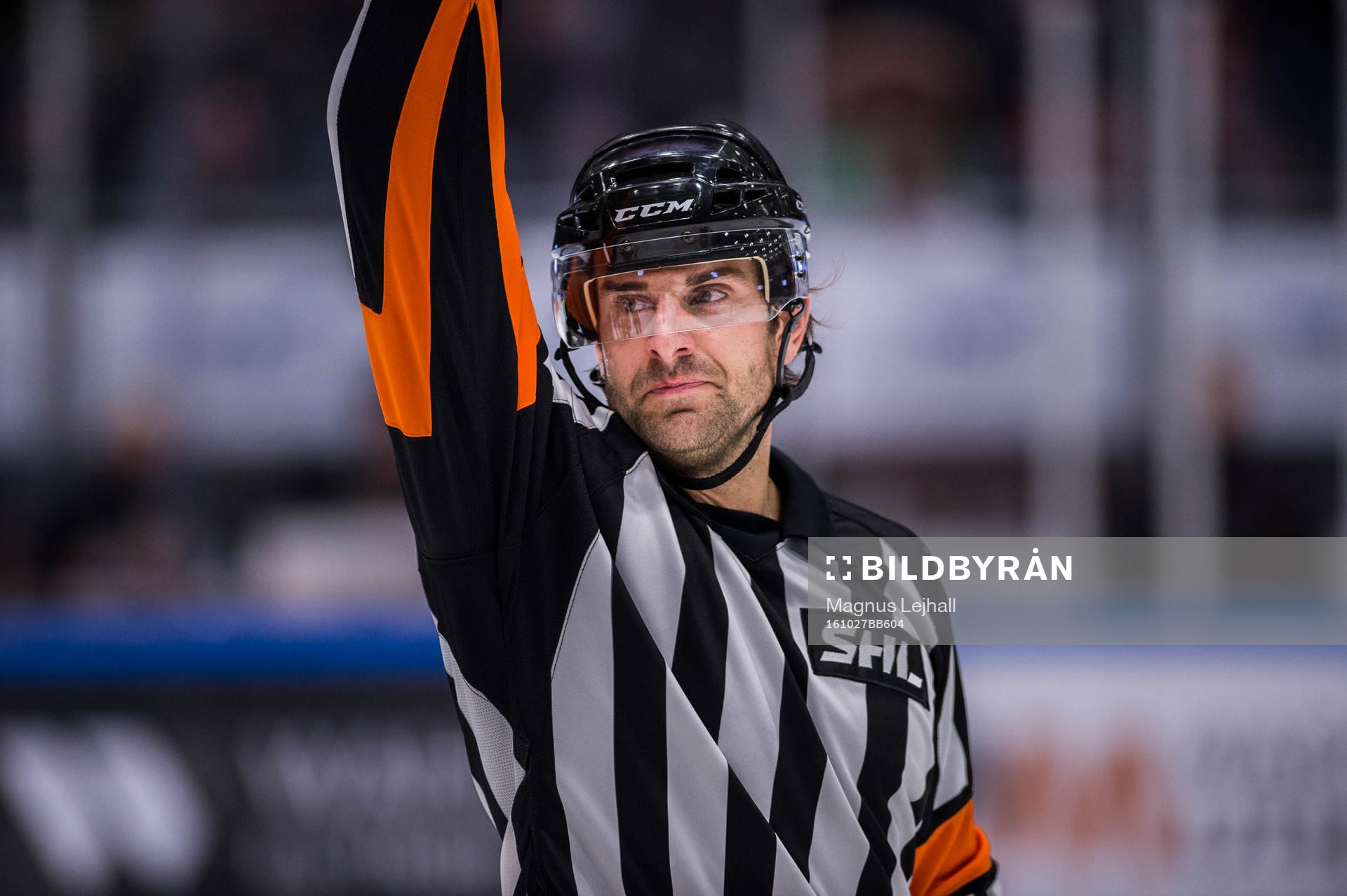 Domare Mikael Sjöqvist