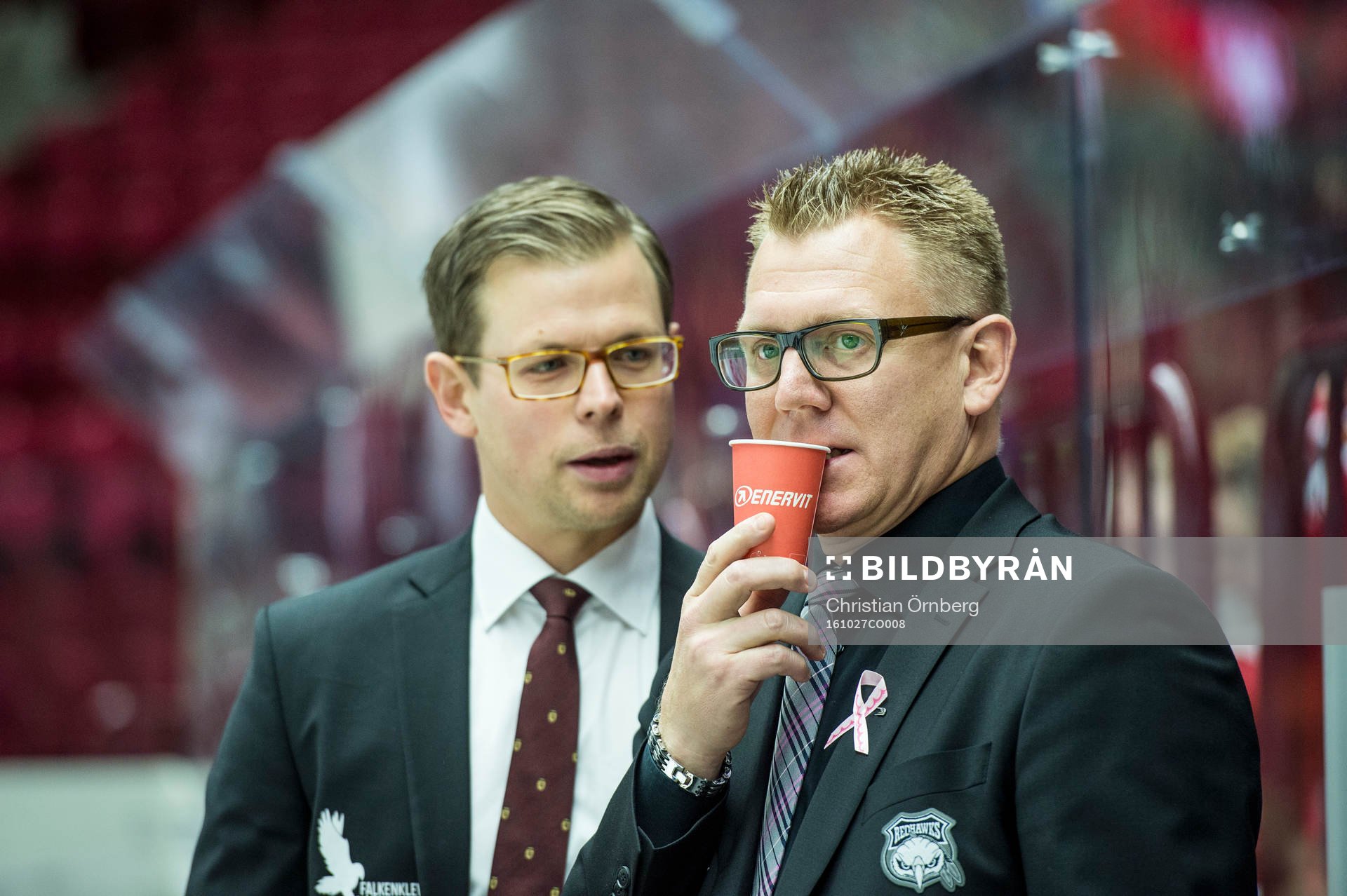 Malmö Redhawks assisterande tränare Martin Filander och