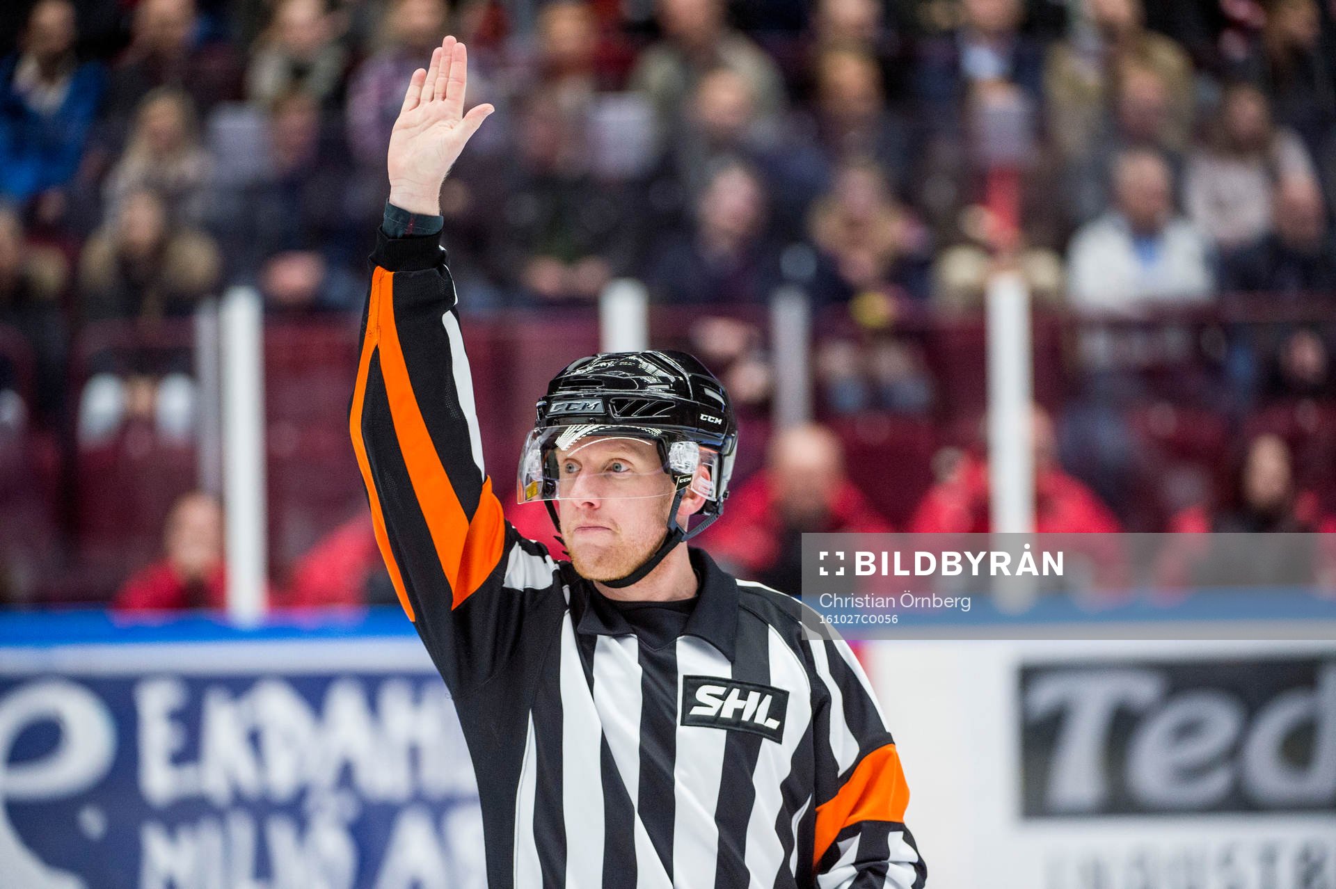 Domaren Mikael Holm
