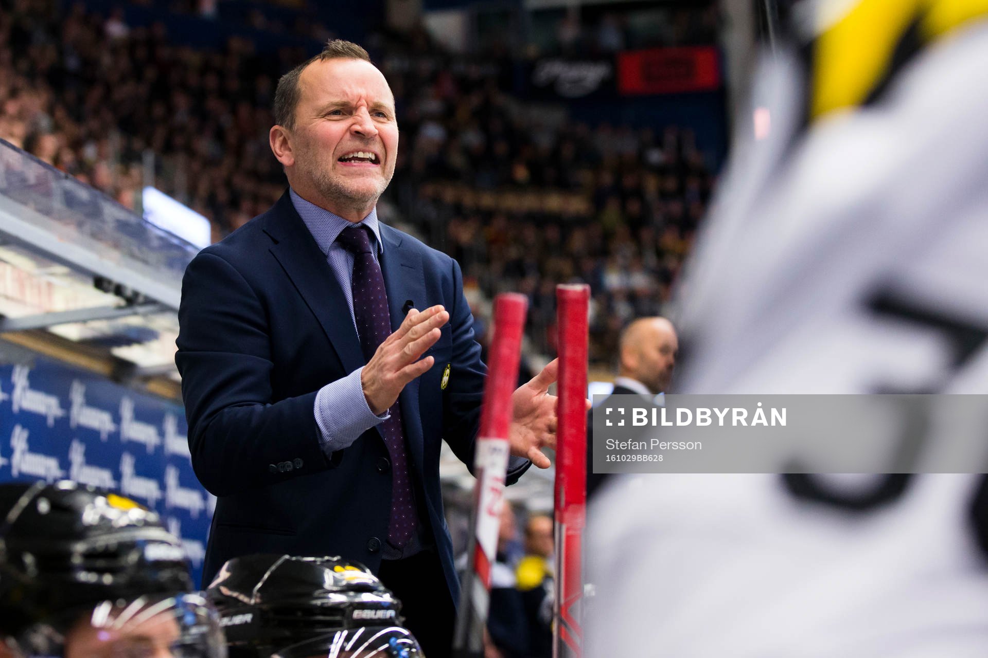 Brynäs tränare Thomas Berglund