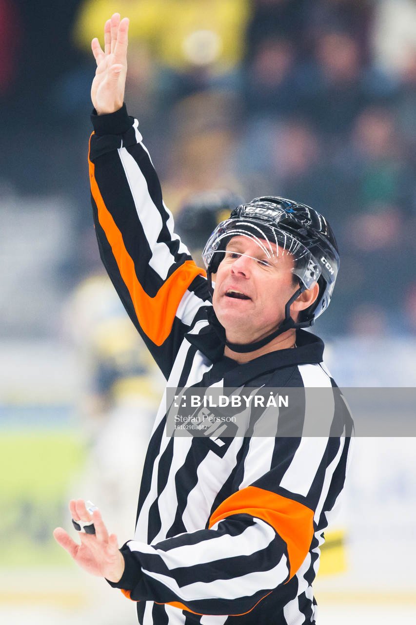 Domaren Wolmer Edqvist