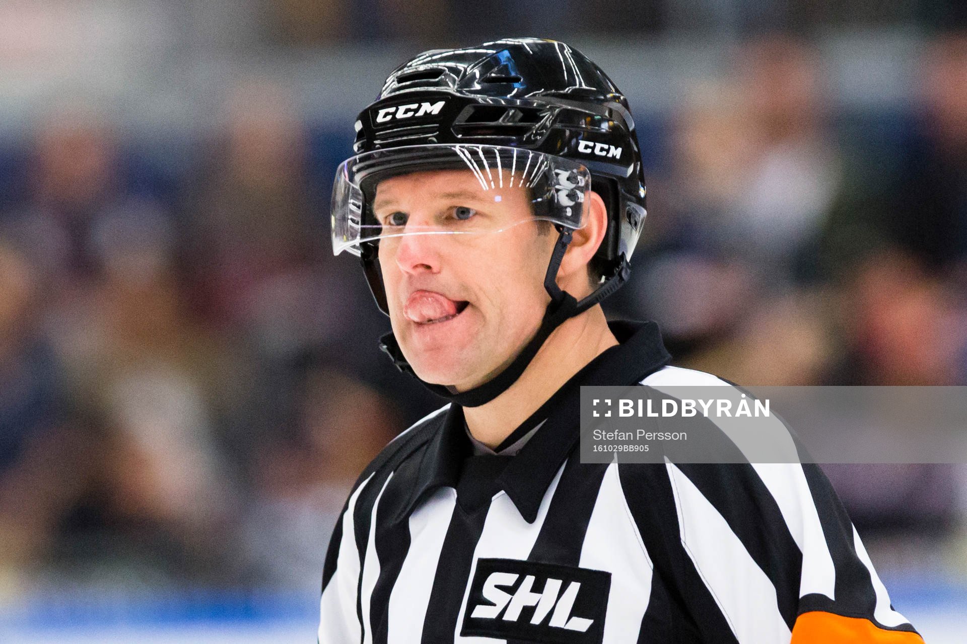 Domaren Wolmer Edqvist